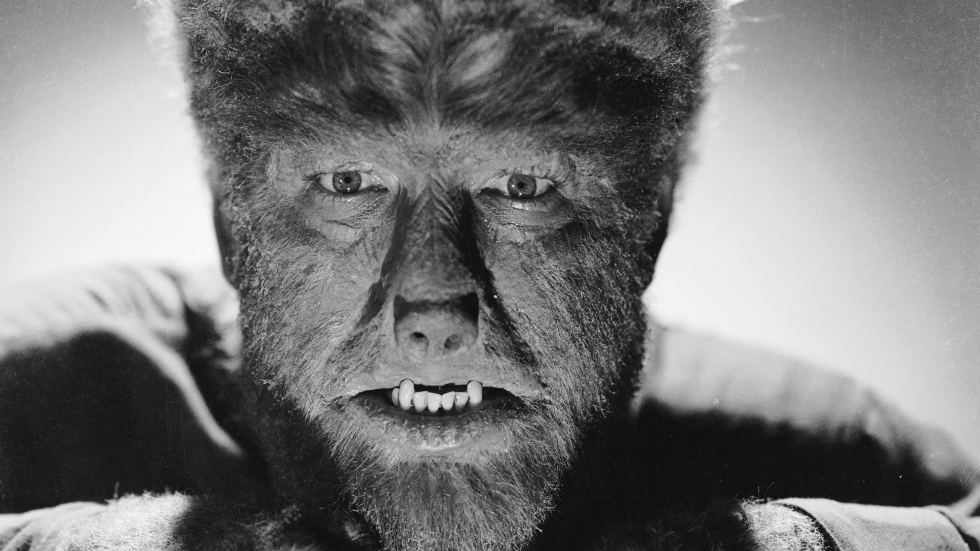 Philip J Reed's 'The Wolf Man' and Me