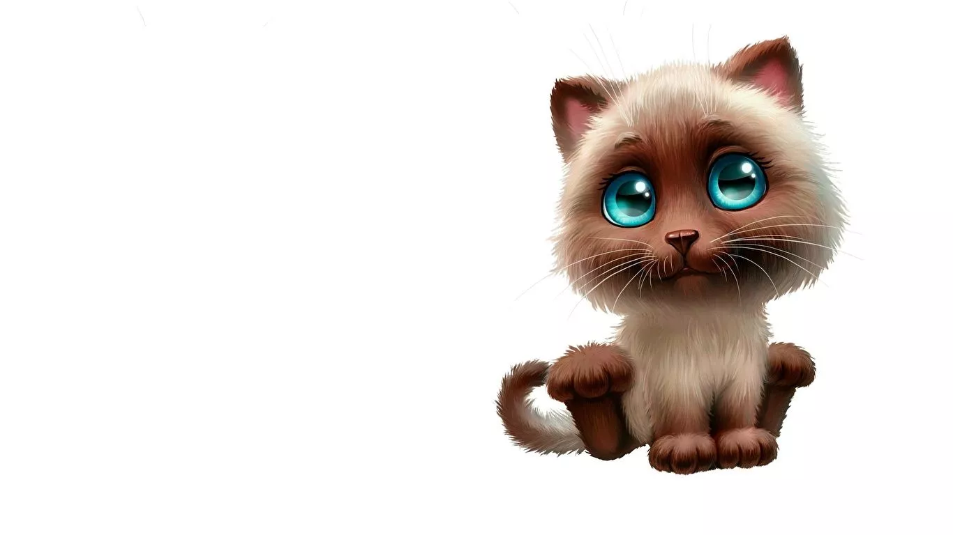 Photos cat lovely Animals Painting Art