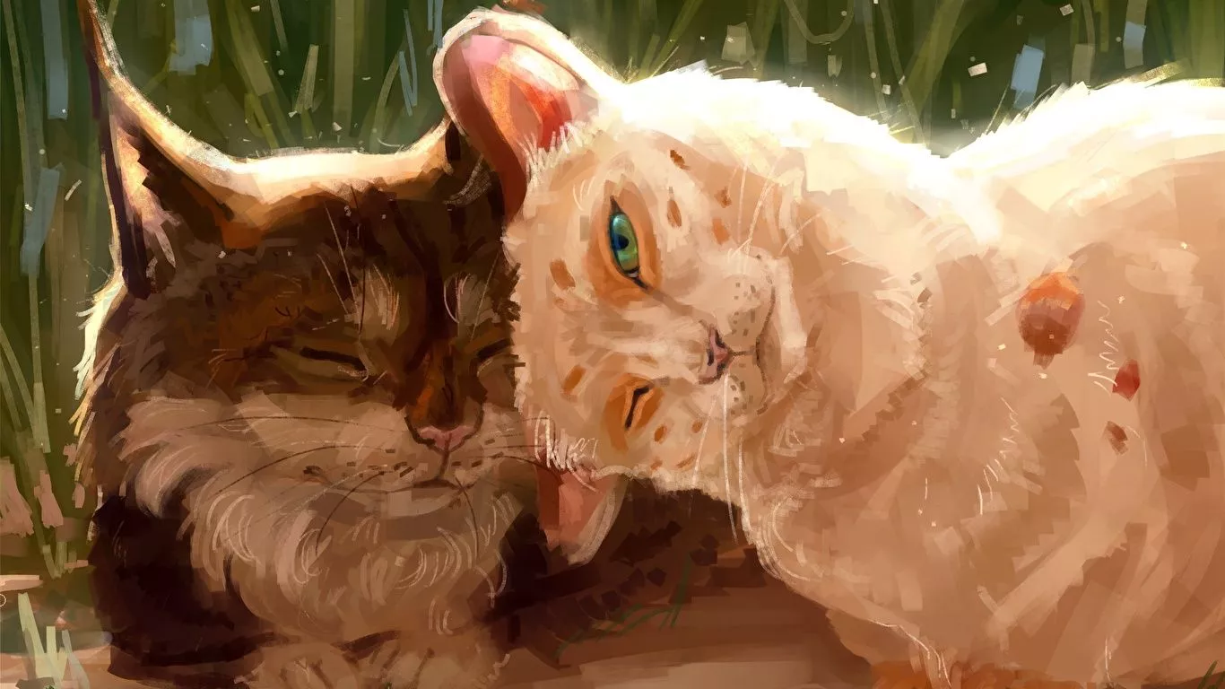 Desktop Wallpaper cat lovely 2 Animals