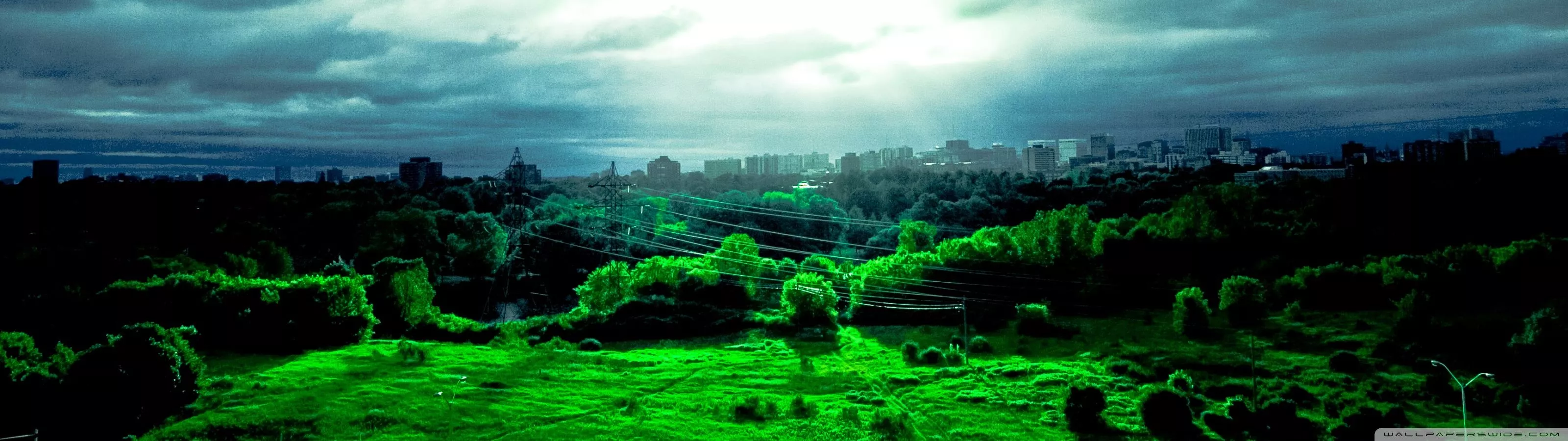 wallpaper, green, nature, vegetation