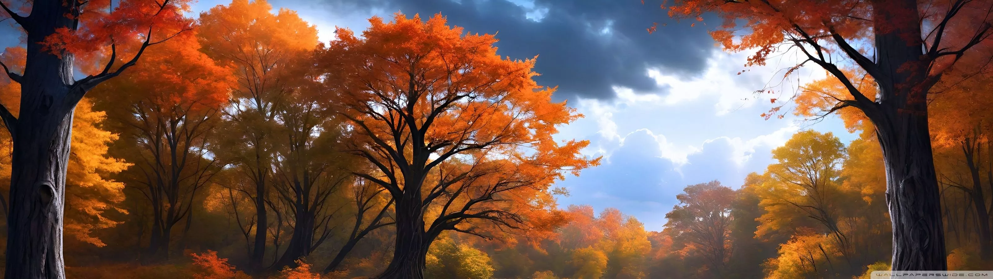 Autumn Scenery Ultra HD Wallpaper