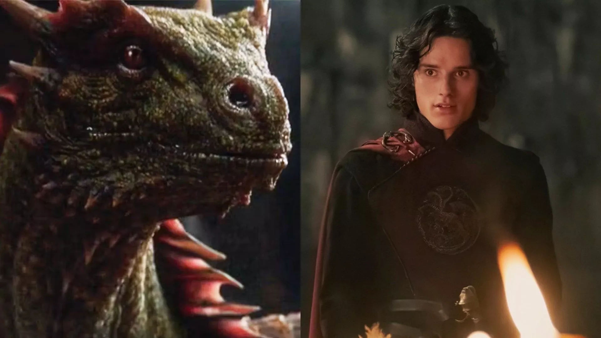 Every Dragon in House of the Dragon