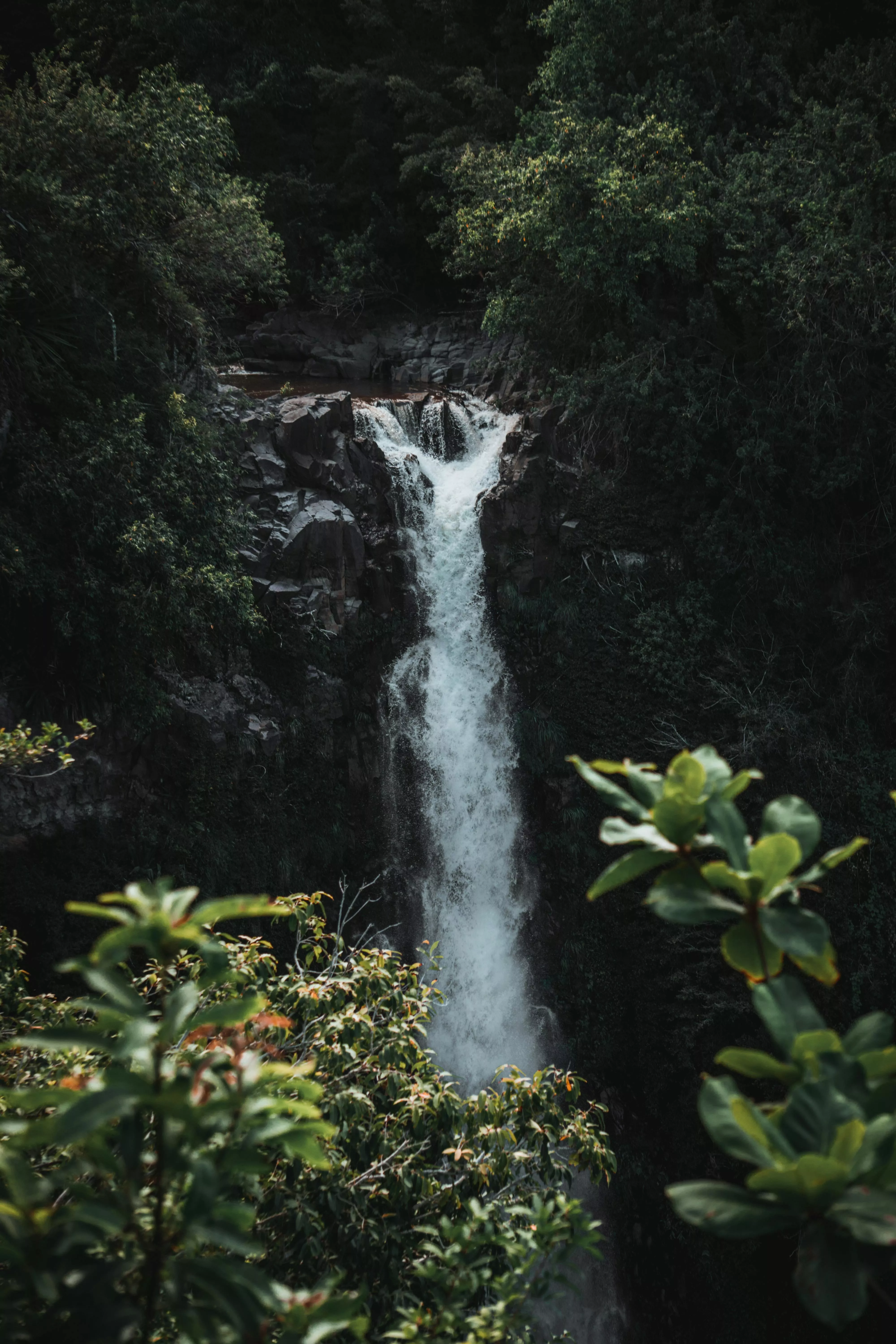 Waterfalls · Free