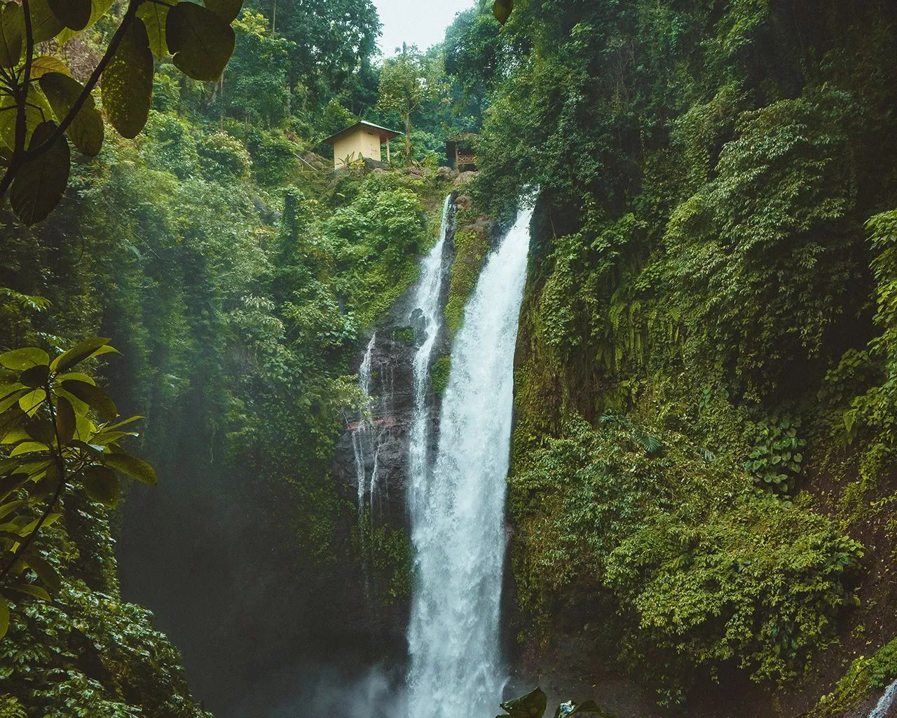 Waterfall Summer Forest River