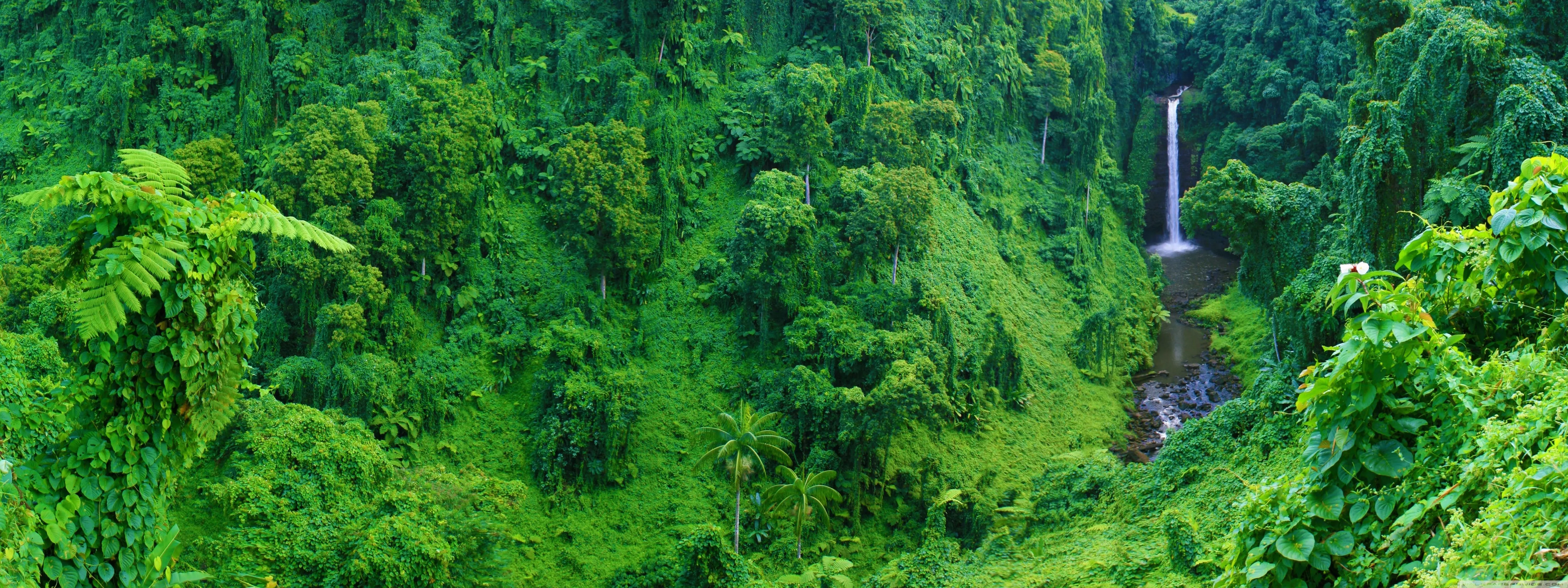 Jungle Waterfall Ultra HD Wallpaper