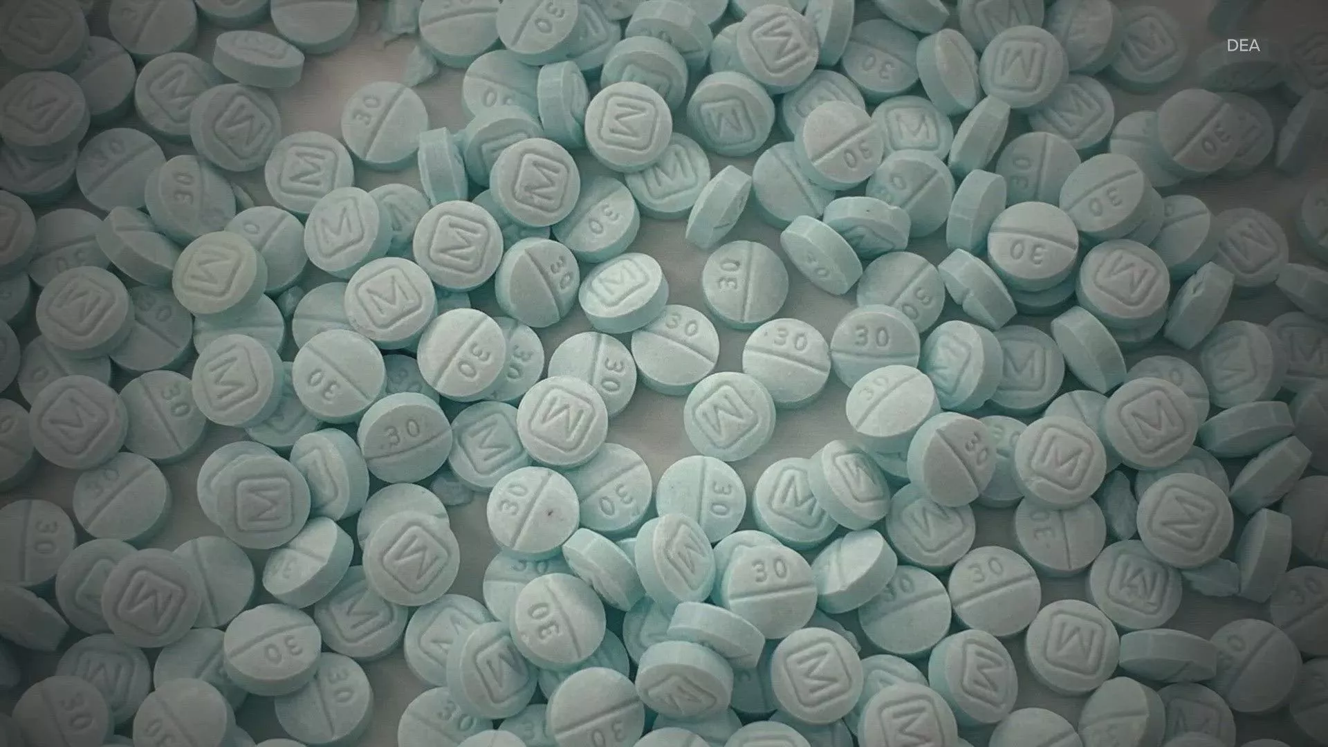 House lawmakers unite behind fentanyl