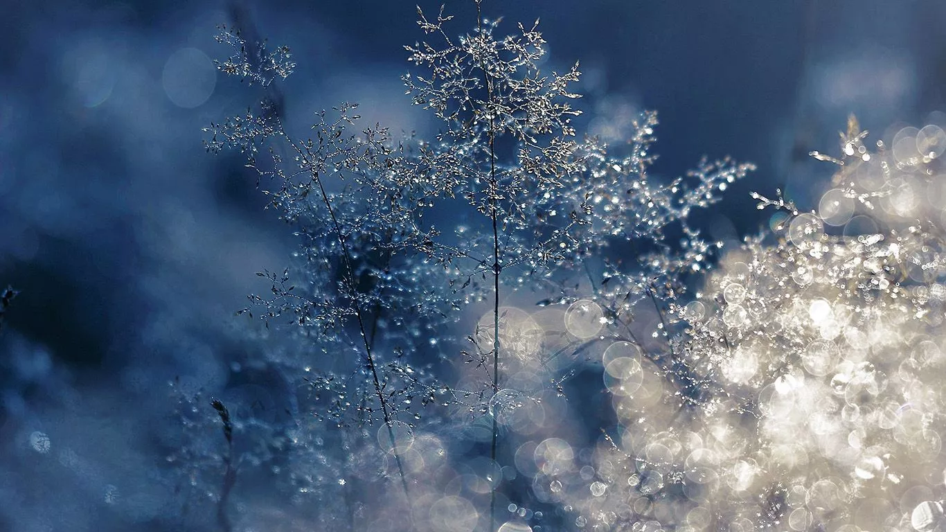 Snow Bokeh Light Beautiful Nature Blue