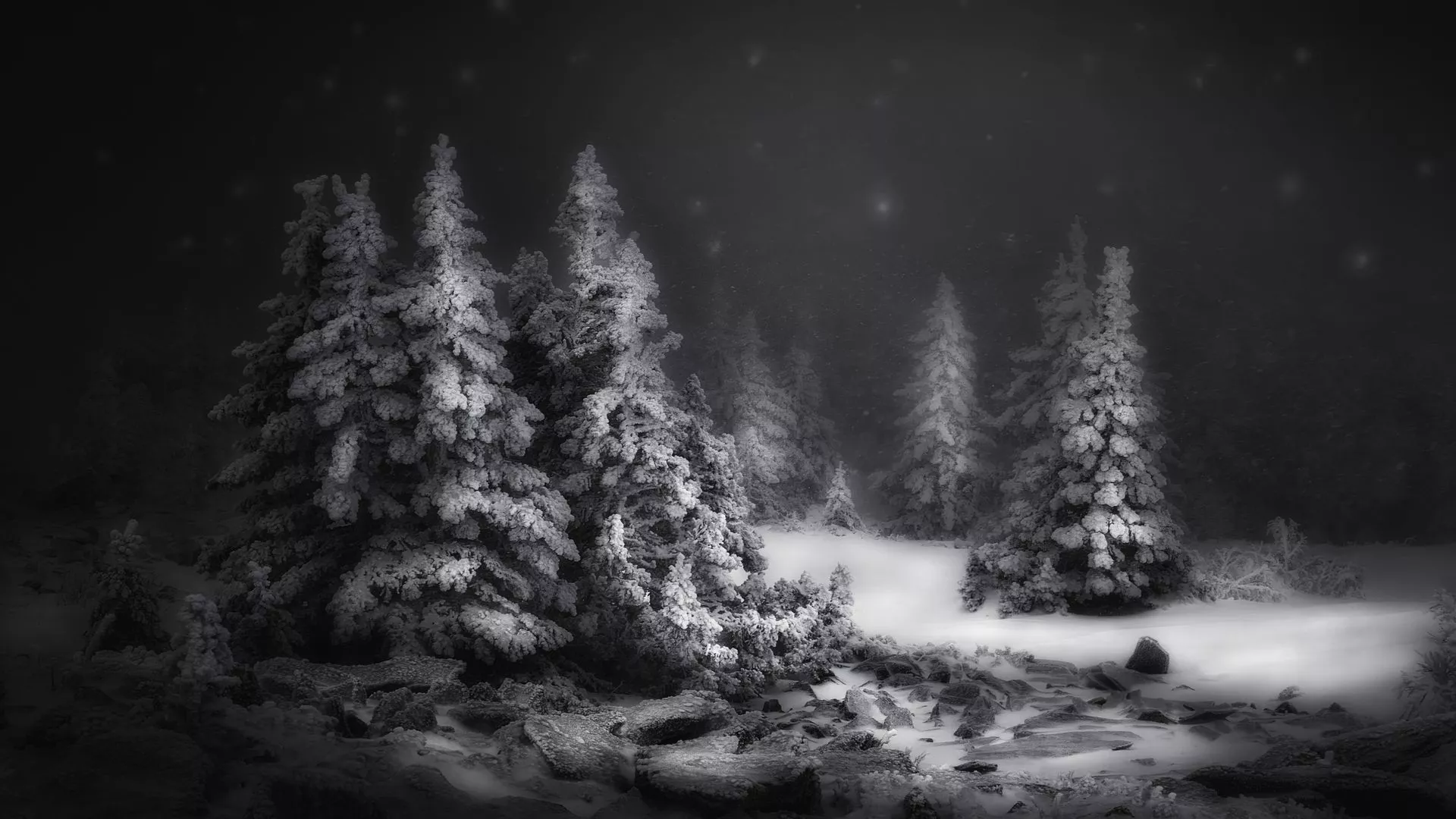 White Snow Winter Night 1080P Laptop