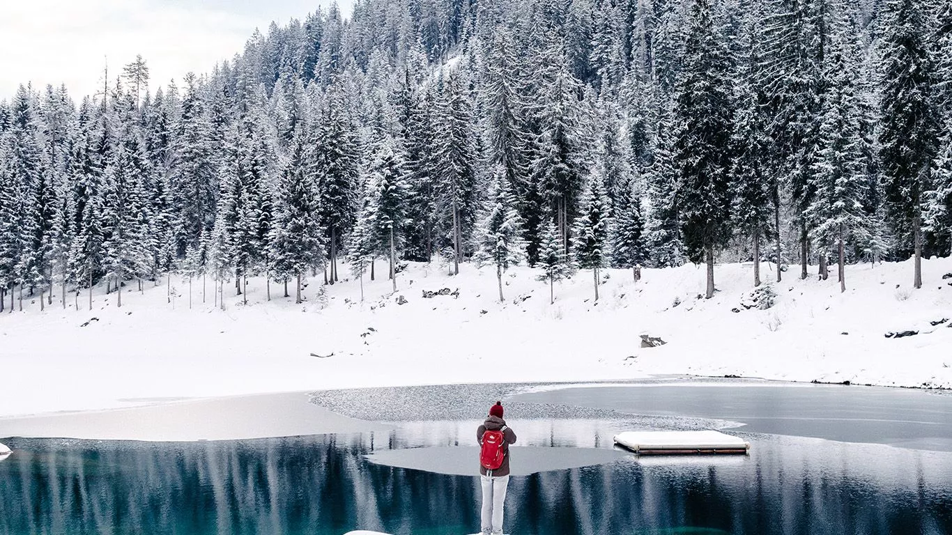 Nature Winter Snow Cold