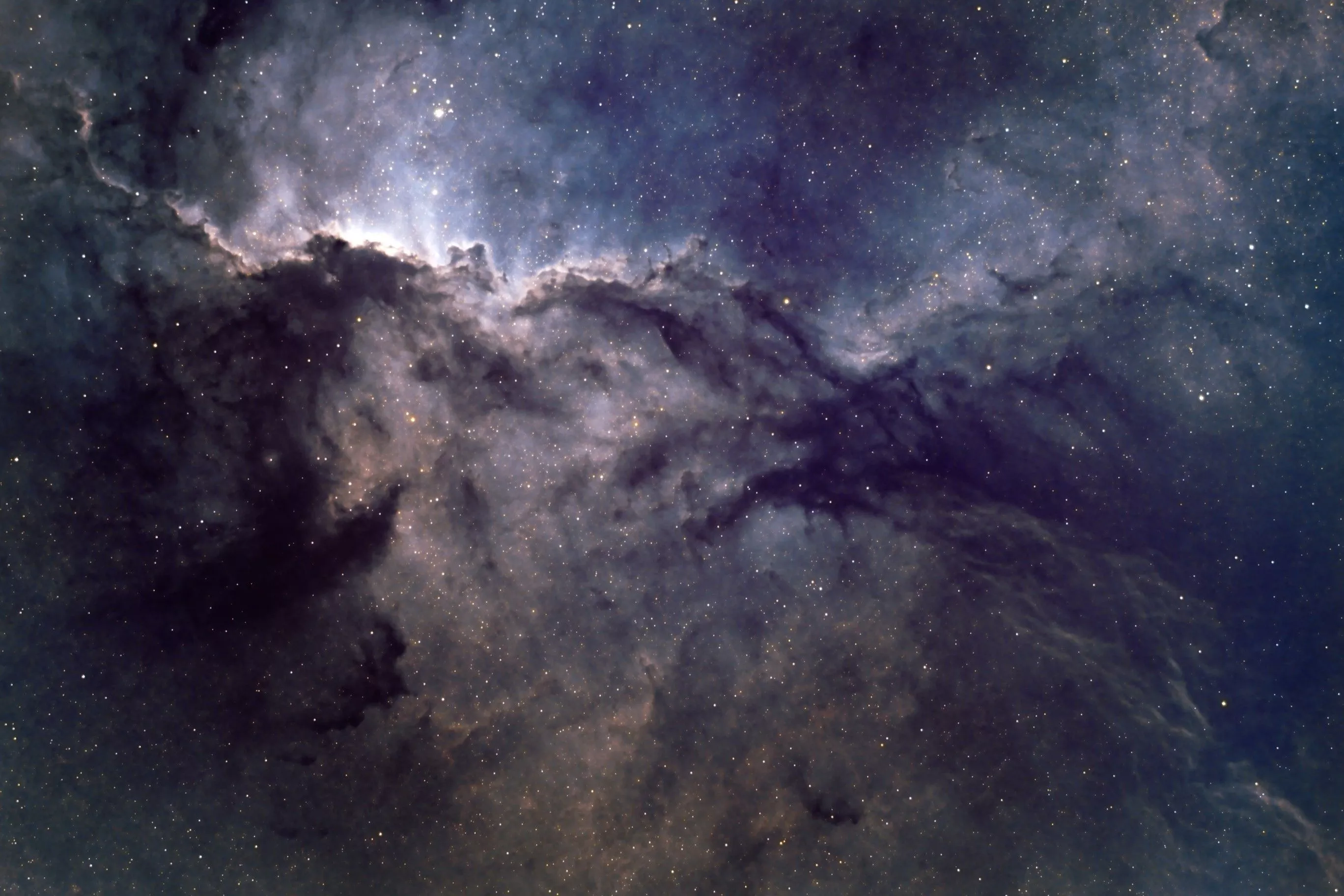 Fighting Dragon of Ara