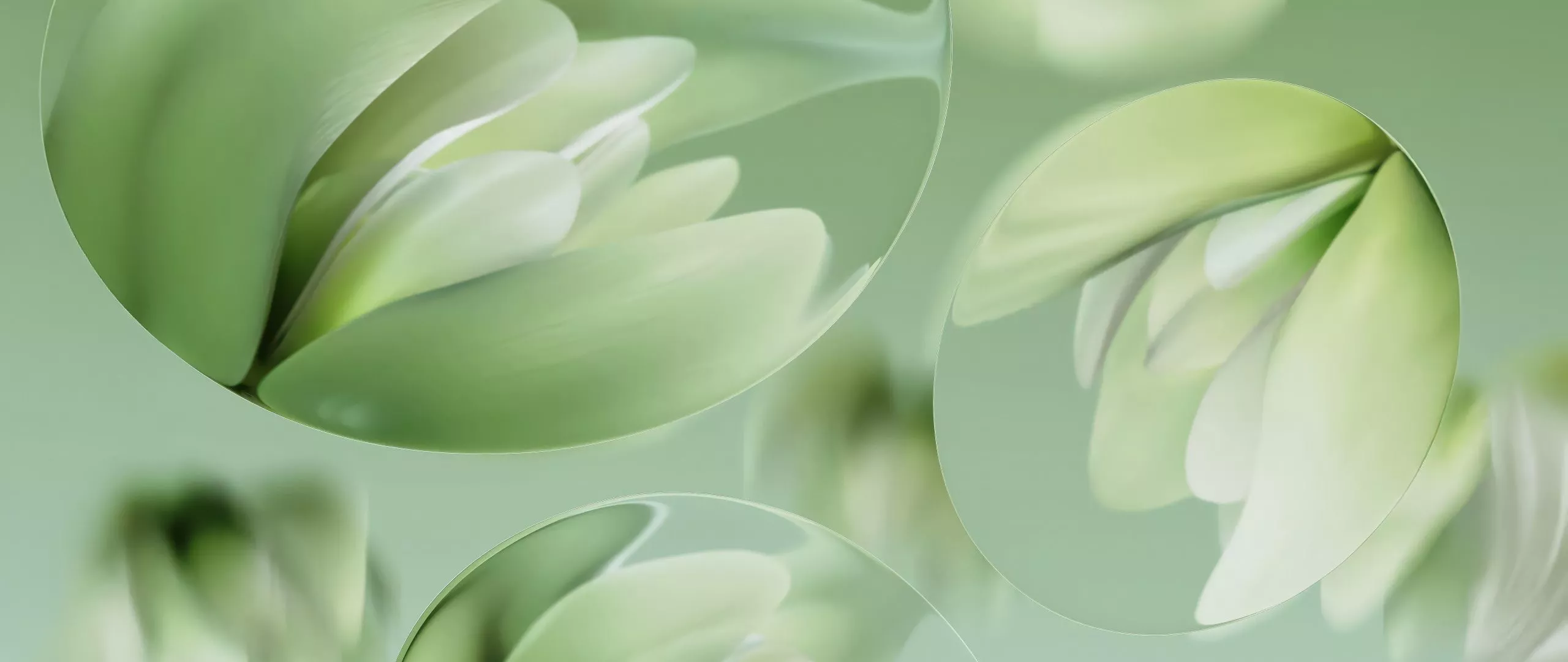 21:9 UltraWide Monitor HD Wallpaper