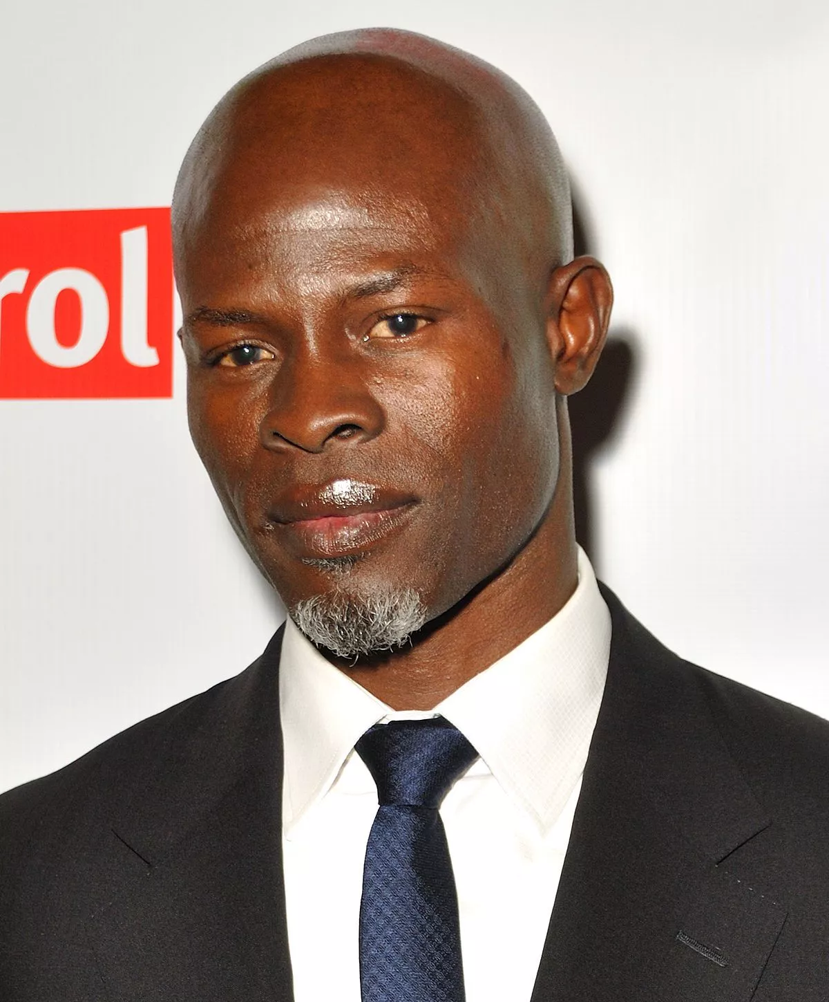 Djimon Hounsou (cropped)
