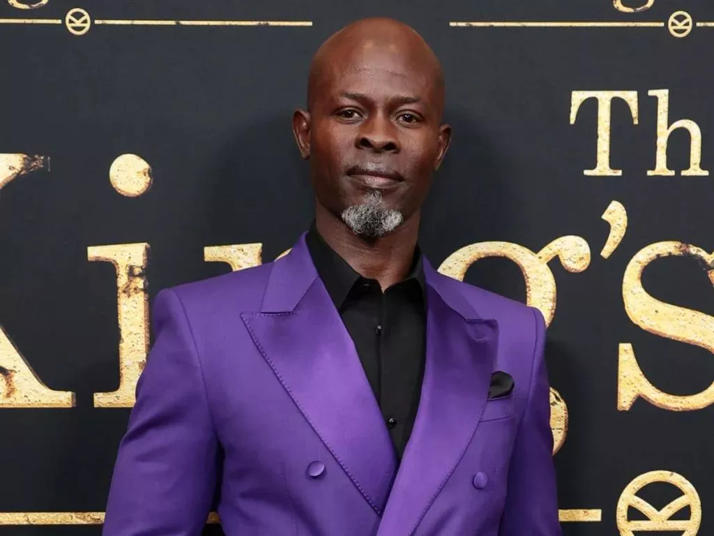 The Djimon Hounsou Foundation Is