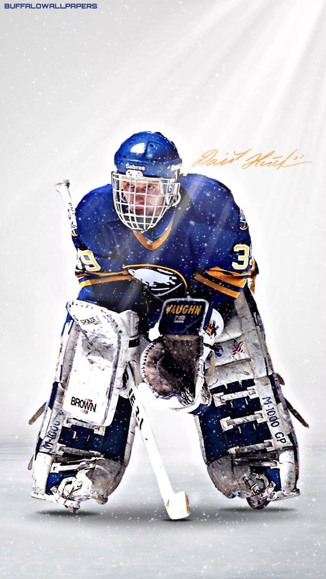 Dominik Hasek iPhone wallpaper