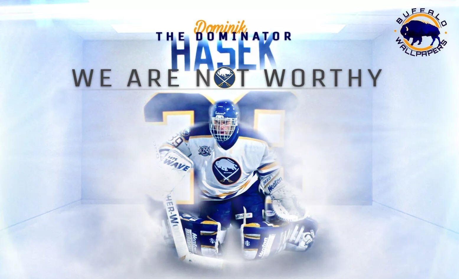 The Dominator Dominik Hasek wallpaper
