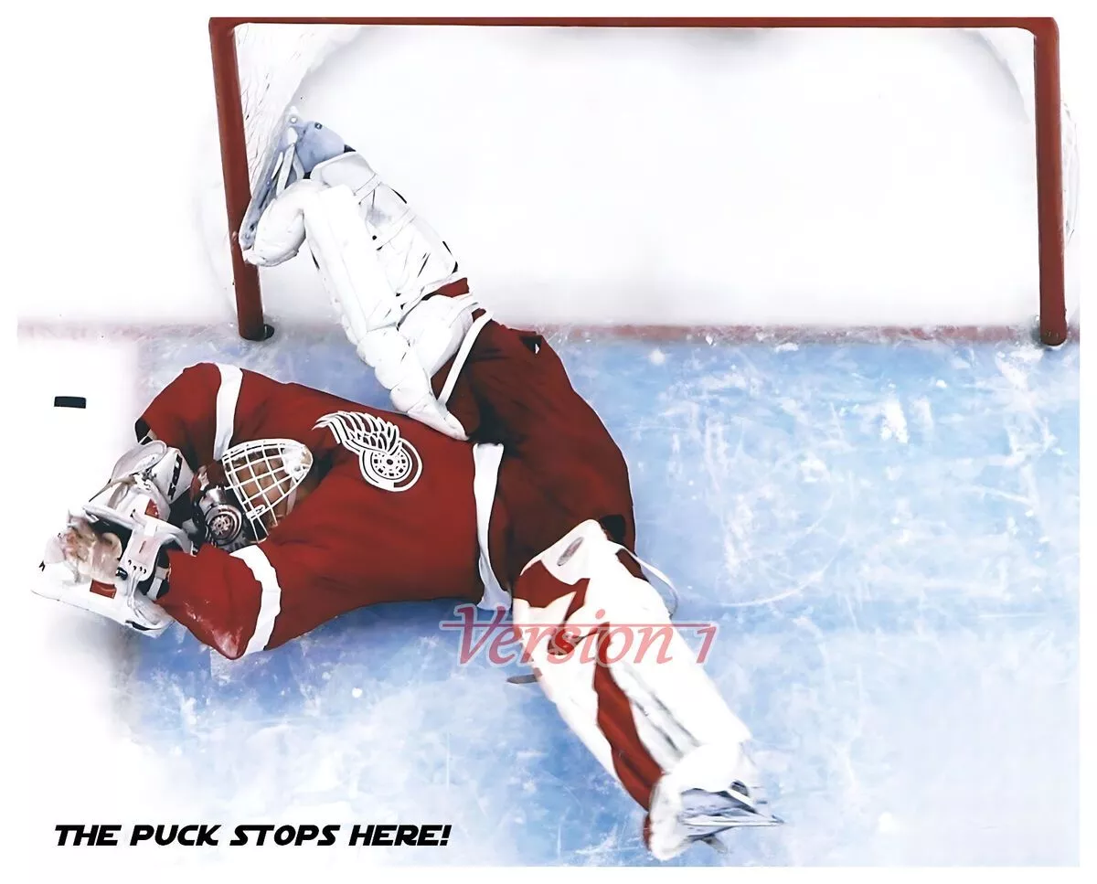 NHL Detroit Red Wings Dominik Hasek