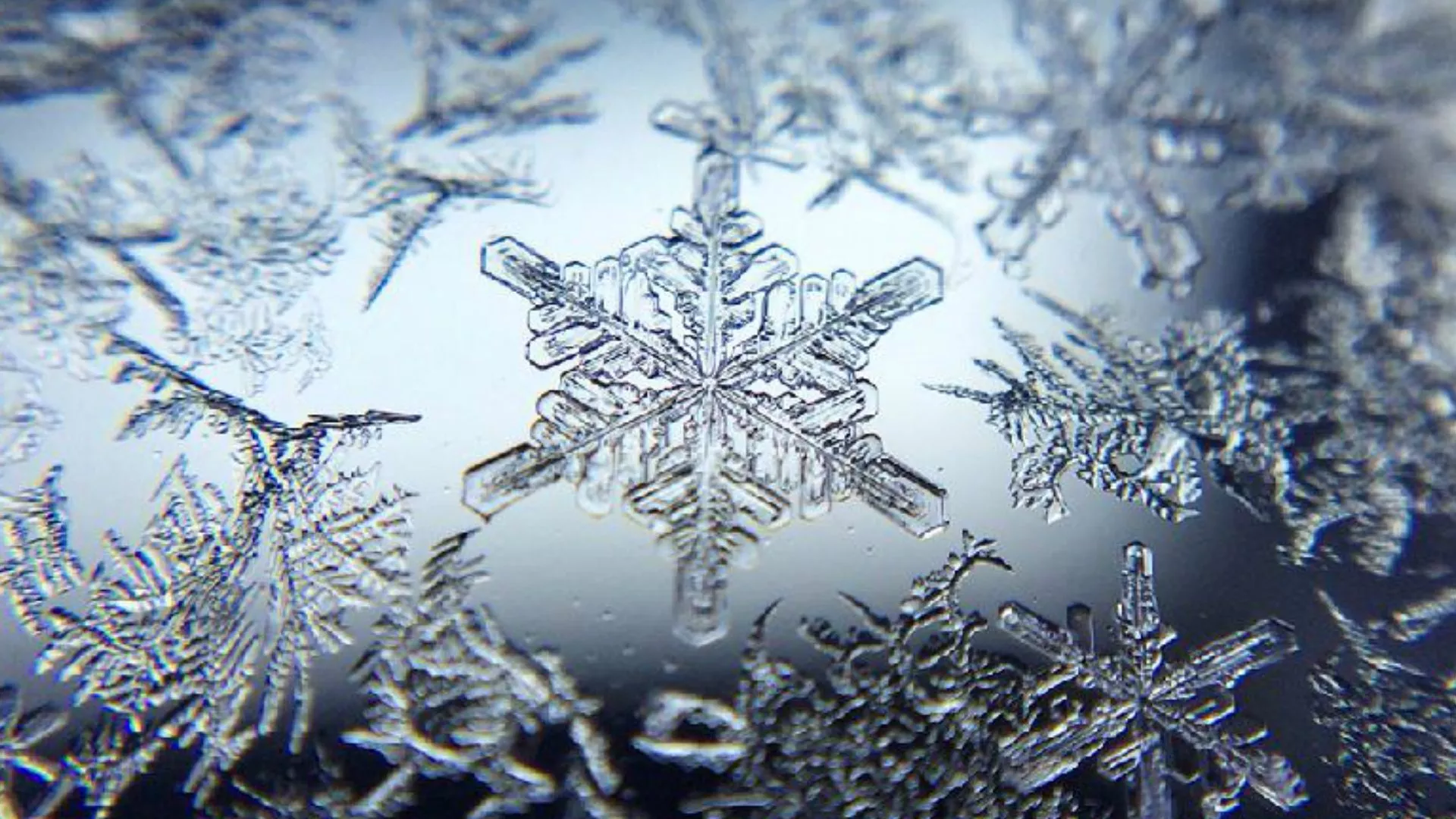 Download Nature Snowflake HD Wallpaper