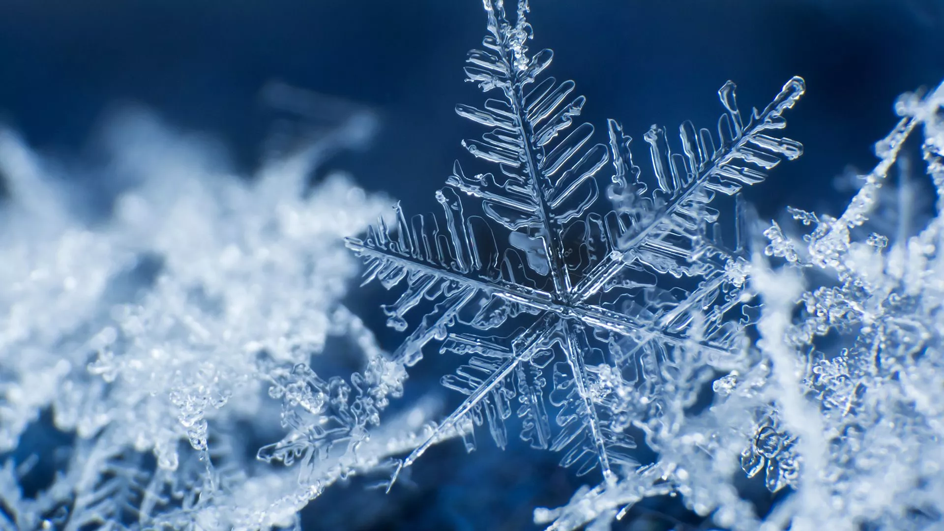 Windows Spotlight Image