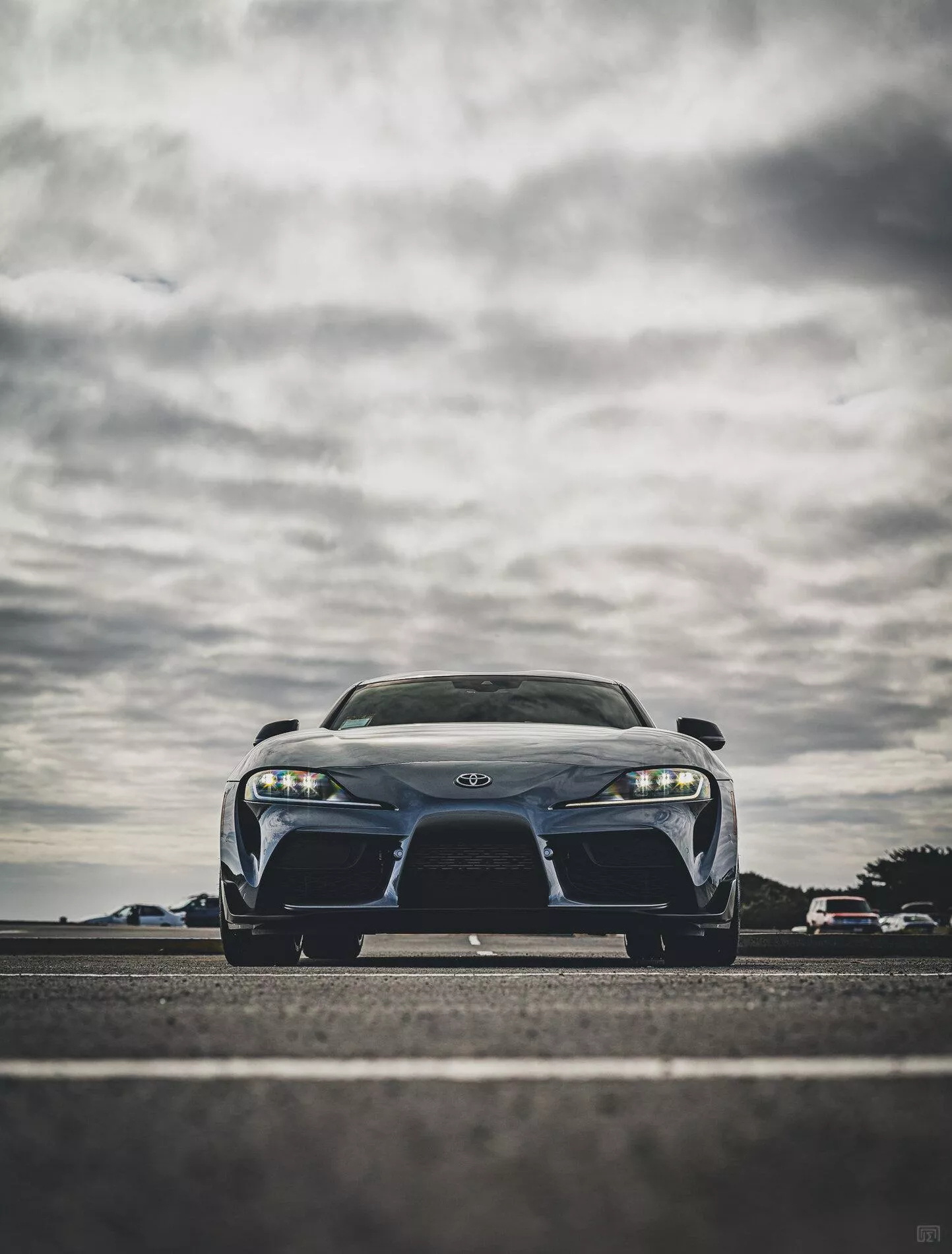 TURBULENCE GRAY Supra Club Thread