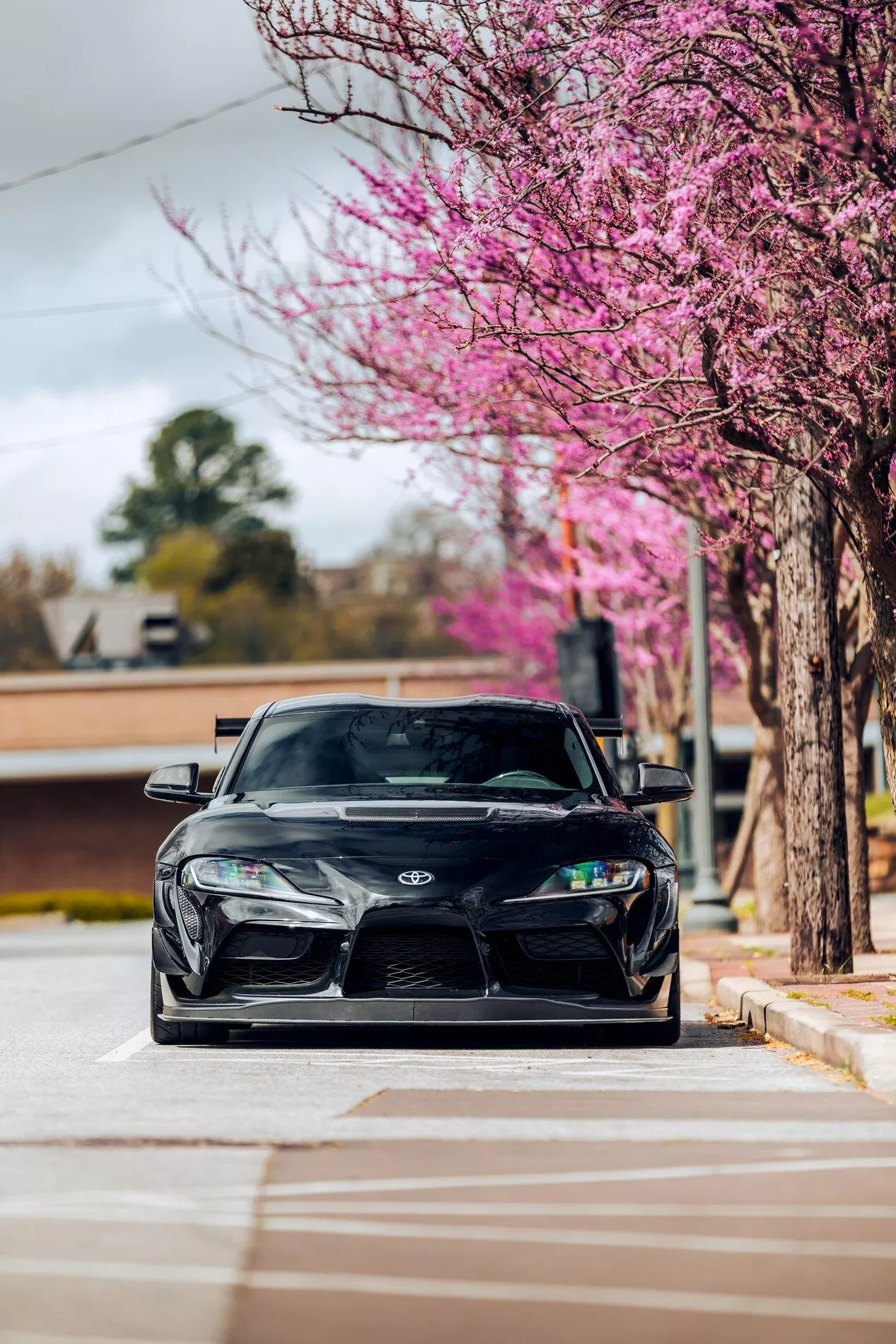 A91 Edition Supra Street Cup Build