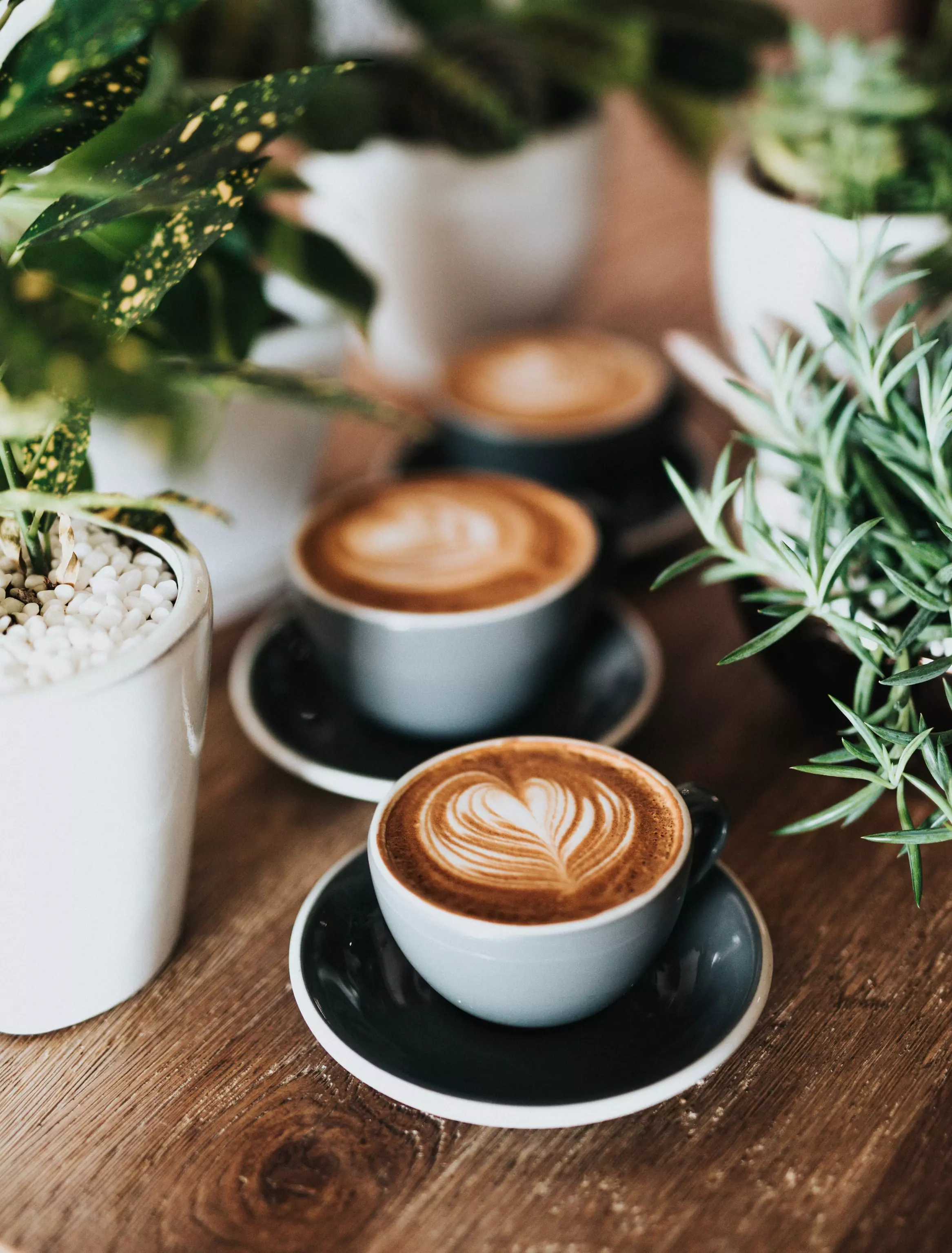 How Many Ounces is a Cup Really