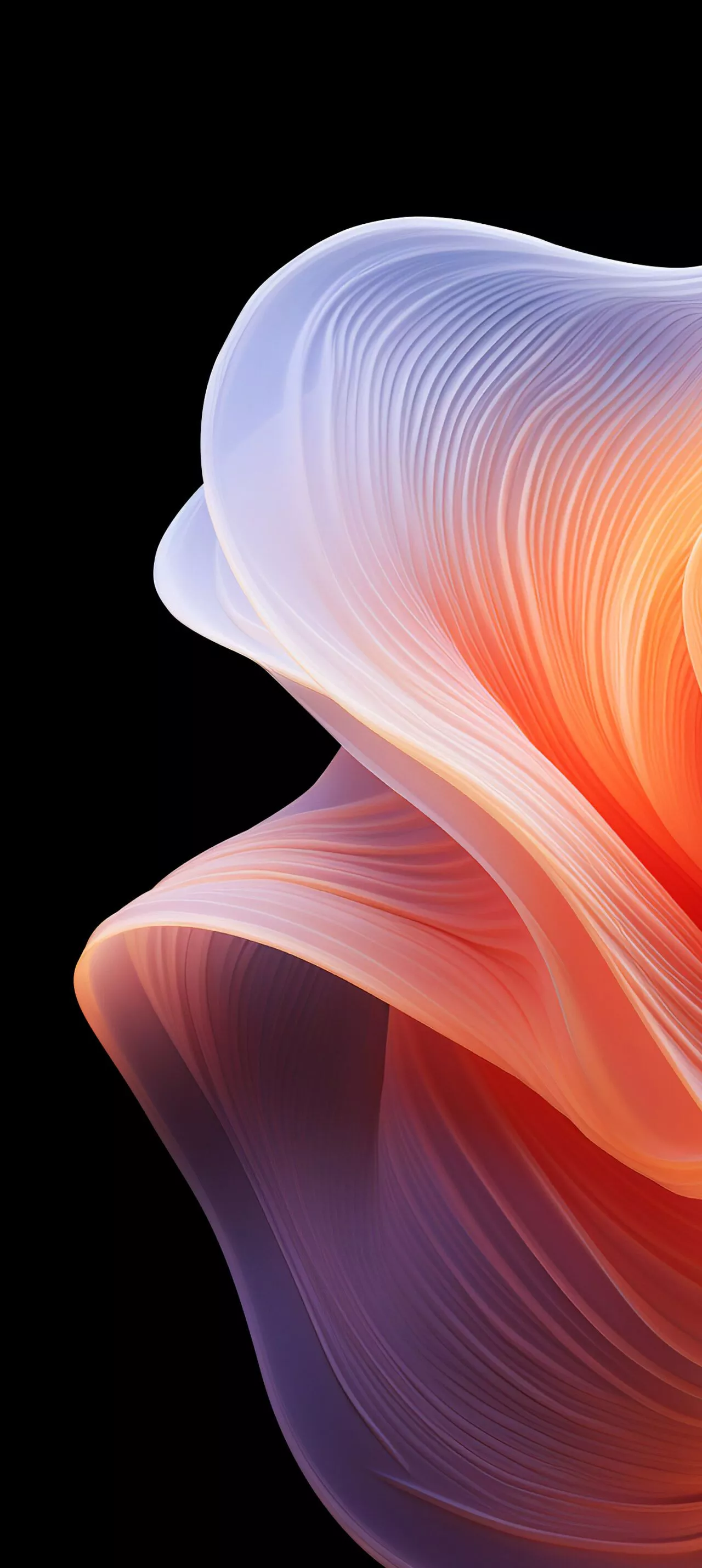 OPPO ColorOS 14 Stock Wallpaper 6