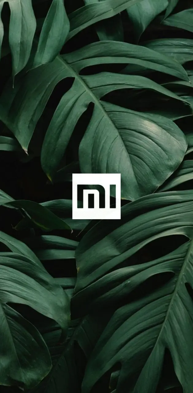 Redmi wallpaper top hd