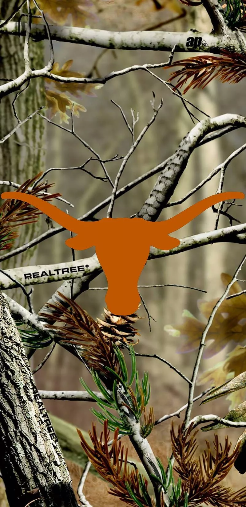 Texas Camo, camo, longhorns, texas, HD