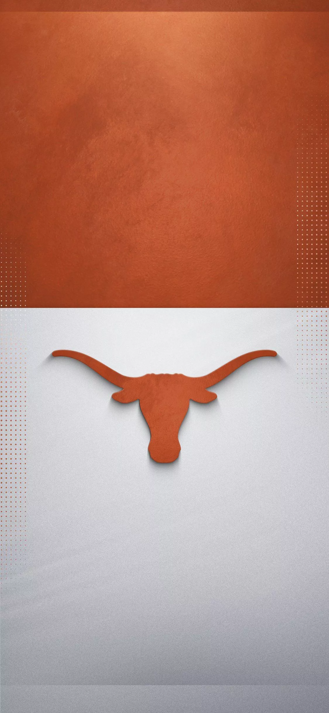 Texas Longhorns Burnt