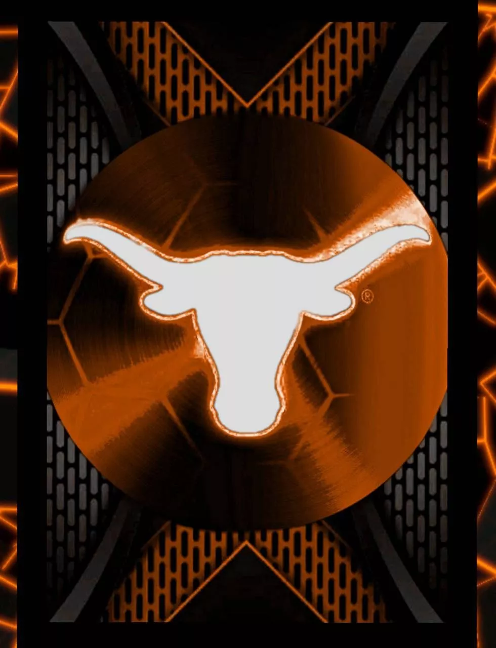 Download A proud Texas Longhorn stands