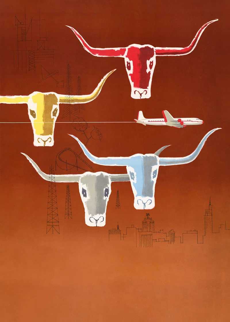 Texas Longhorn Image. Free Photo