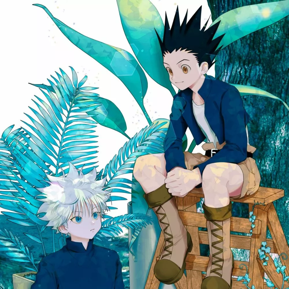 HxH Gon And Killua Matching Pfp