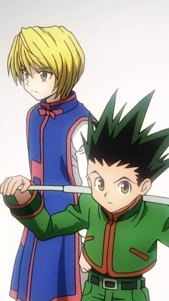 Gon Freecss Killua Zoldyck Anime Hunter