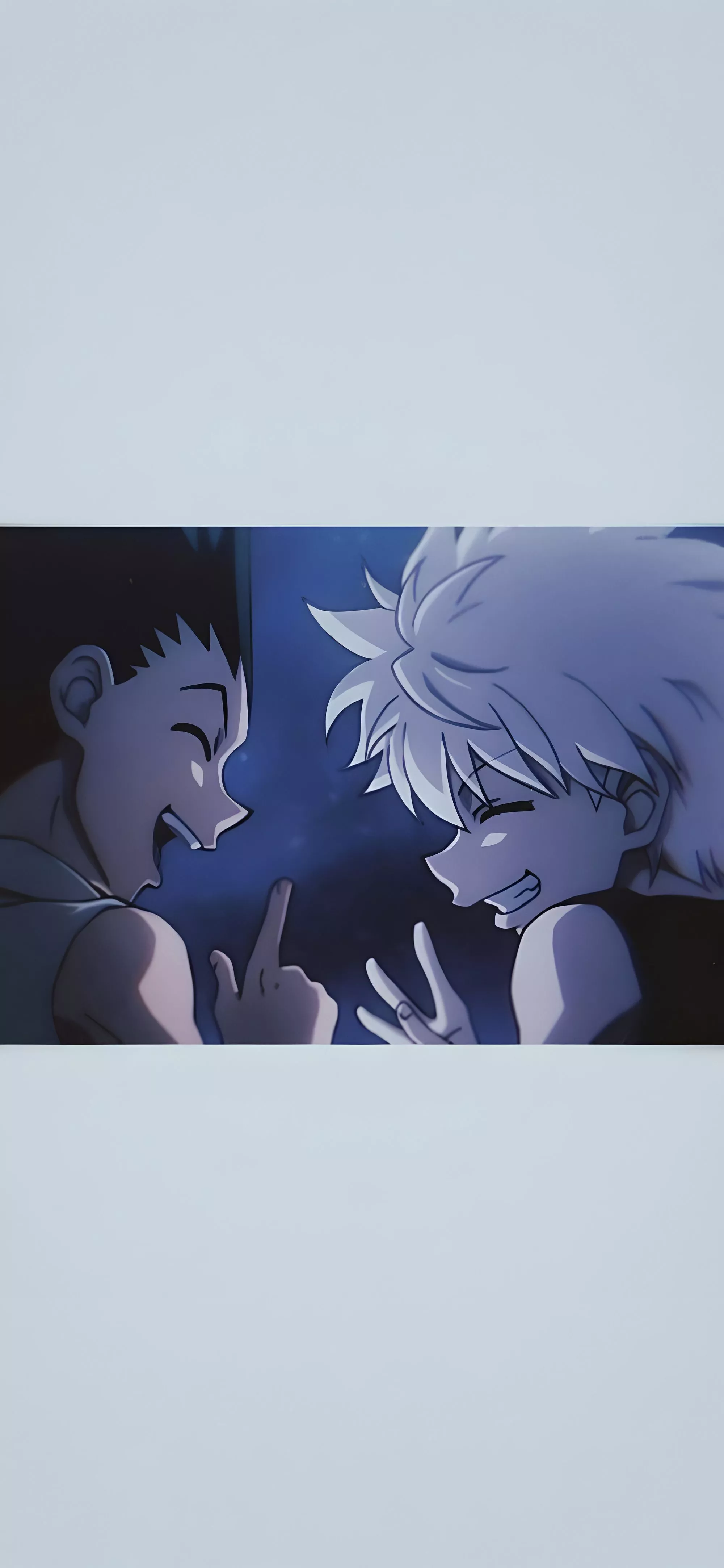 Hunter x Hunter Gon & Killua Friendship