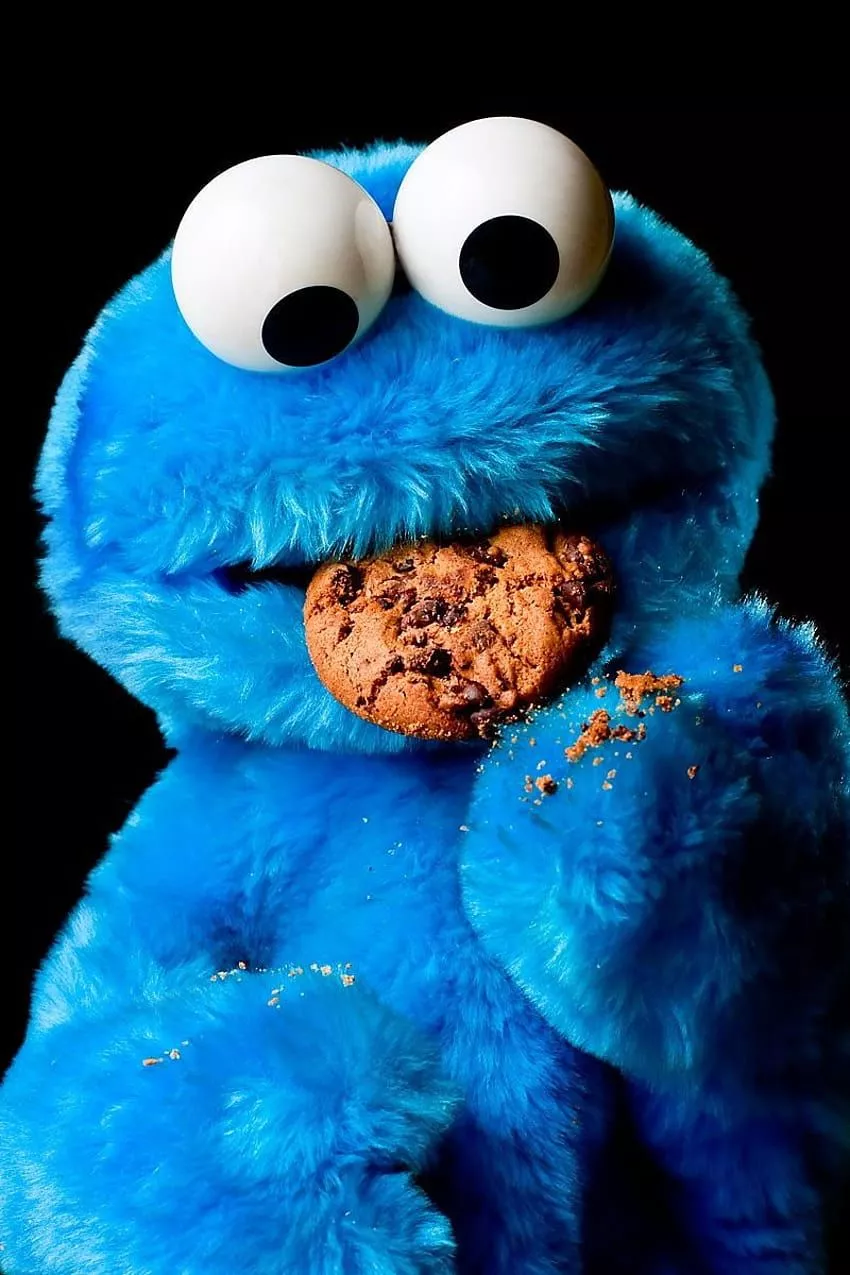Sesame street cookie monster HD phone wallpaper