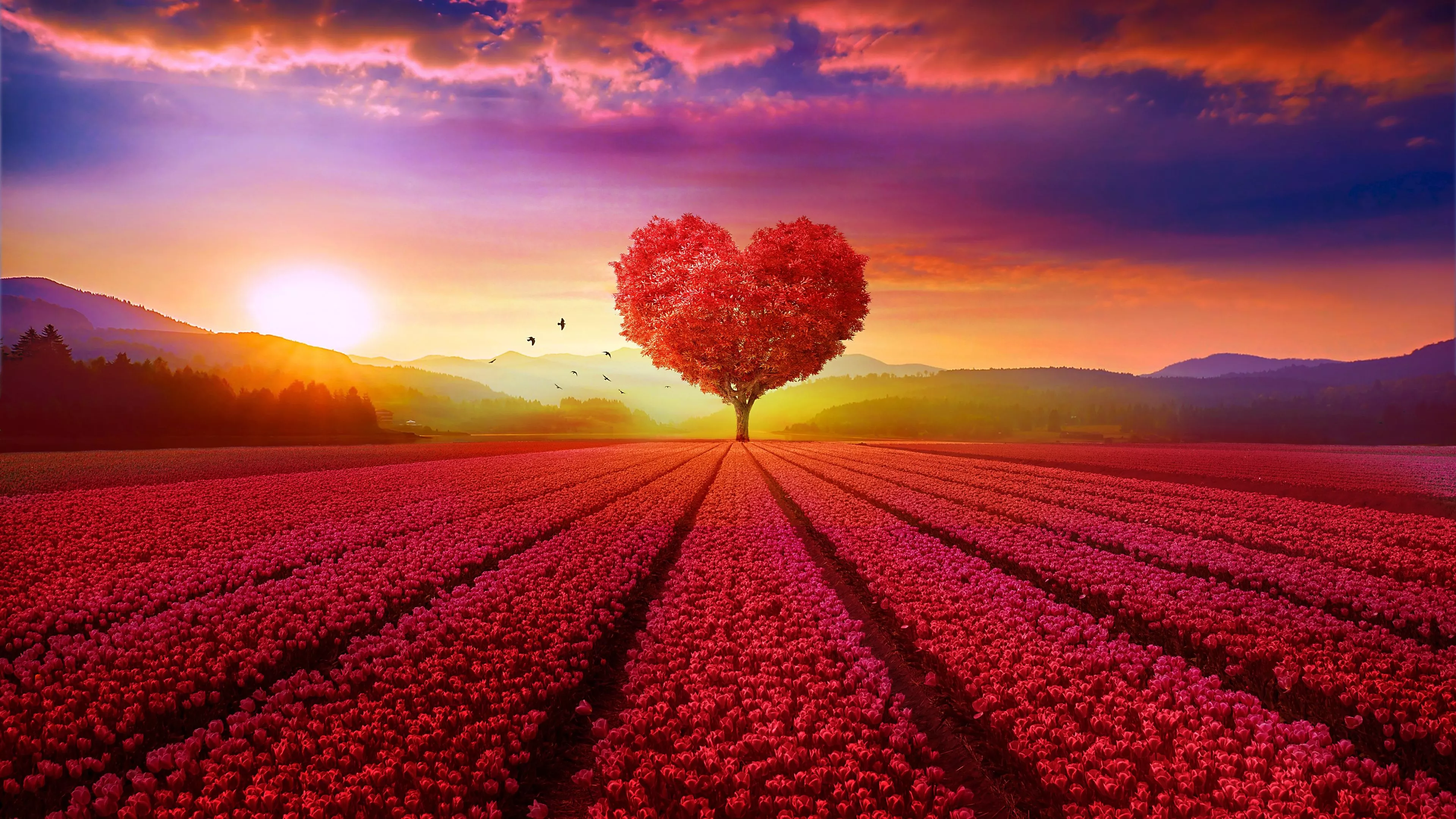 Heart tree Wallpaper 4K, Flower garden