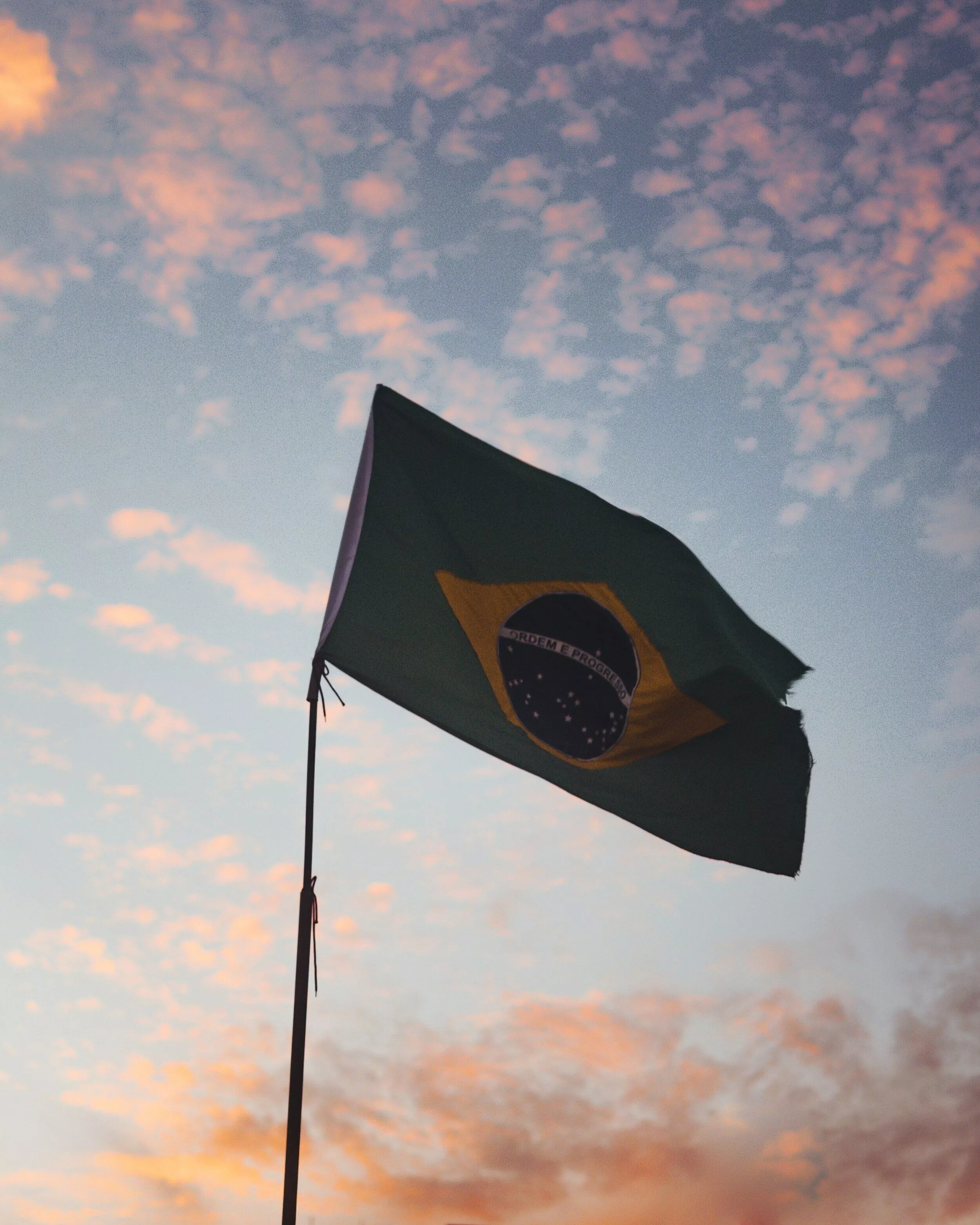 Homeschool Resources for Learning