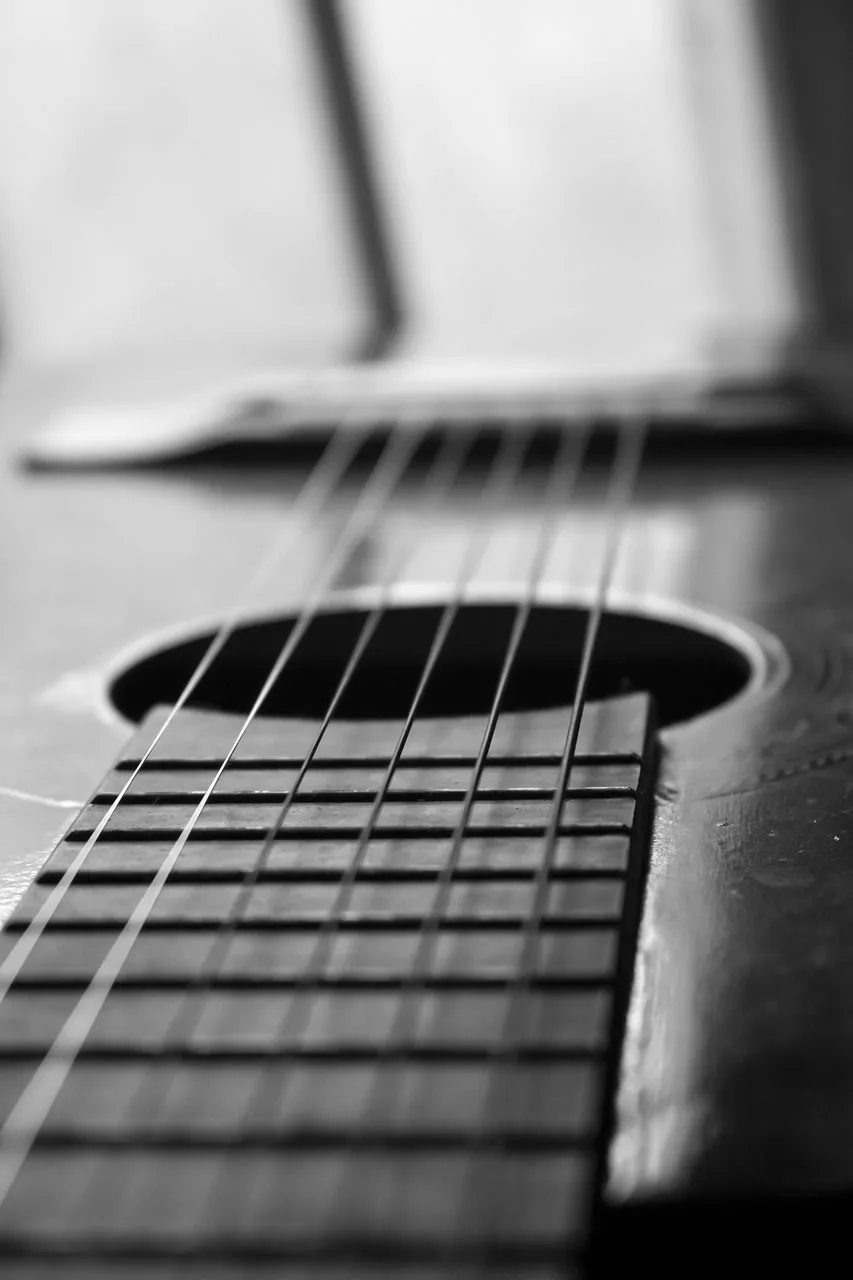 Guitar Strings Black And White