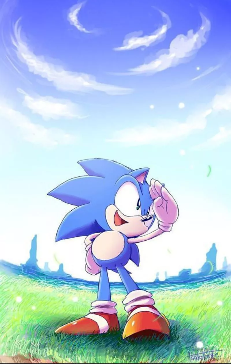 hedgehog, HD phone wallpaper
