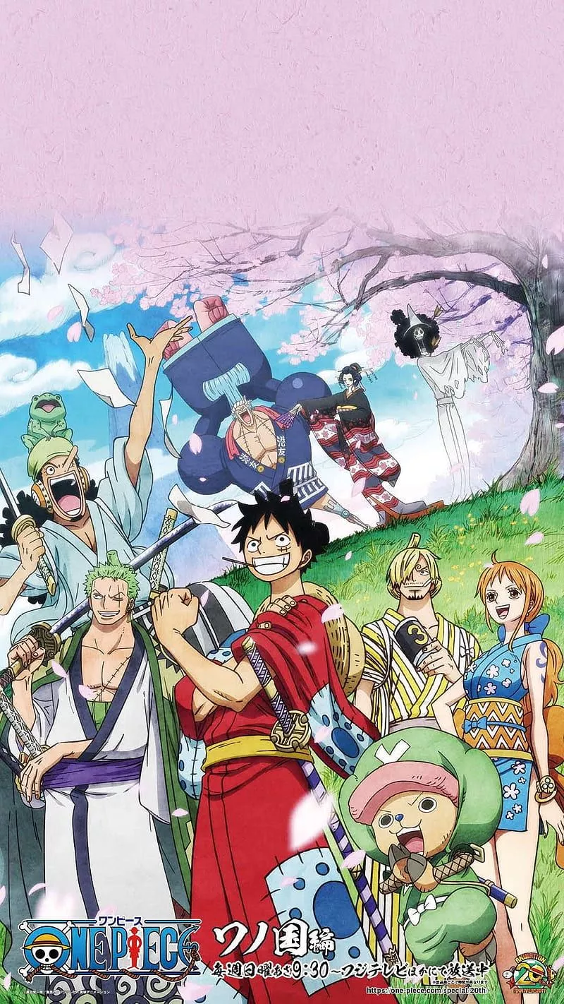 Straw hats, anime, brook, luffy, manga