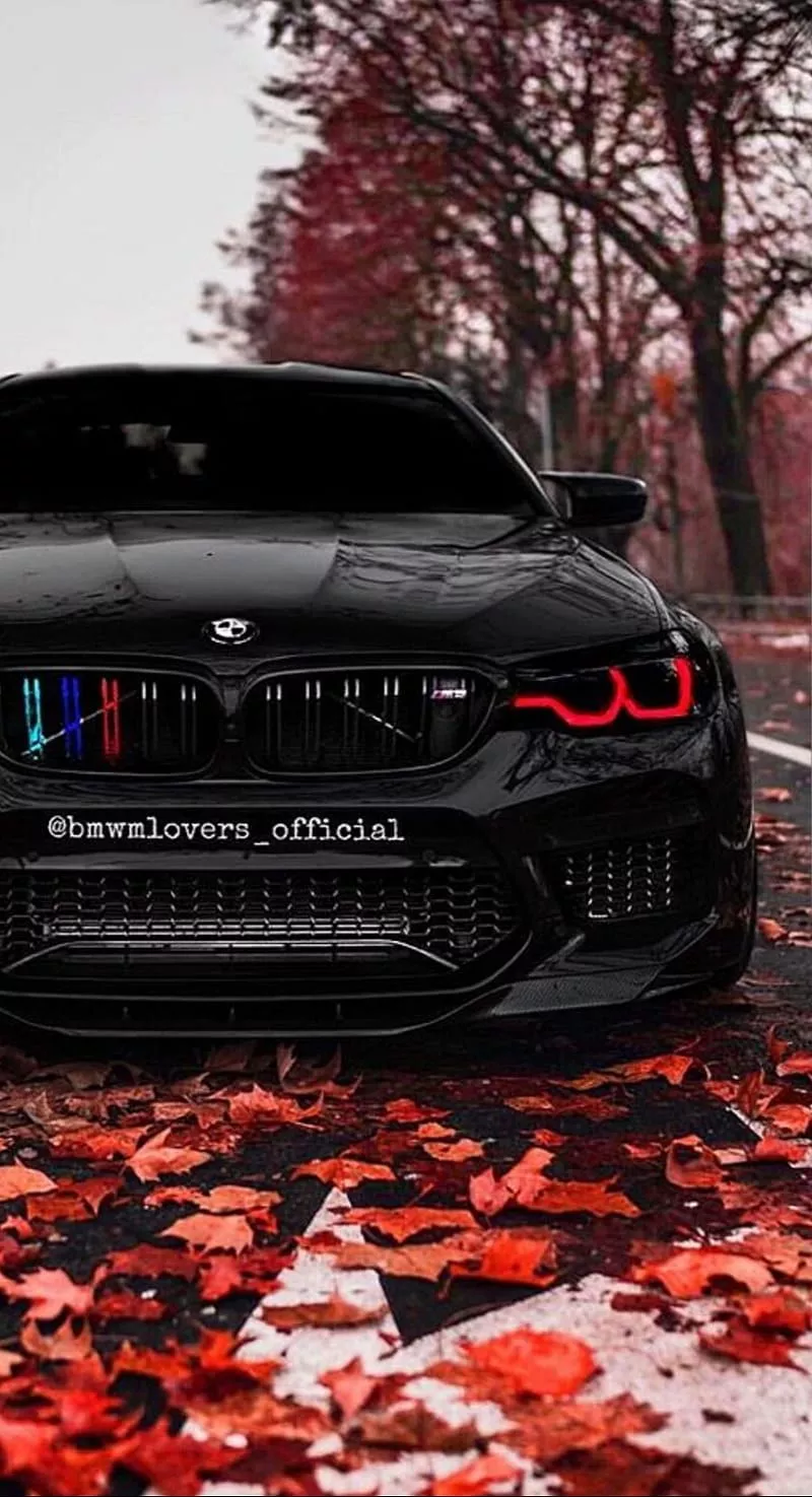 Bmw M5, car, monster, black, HD phone