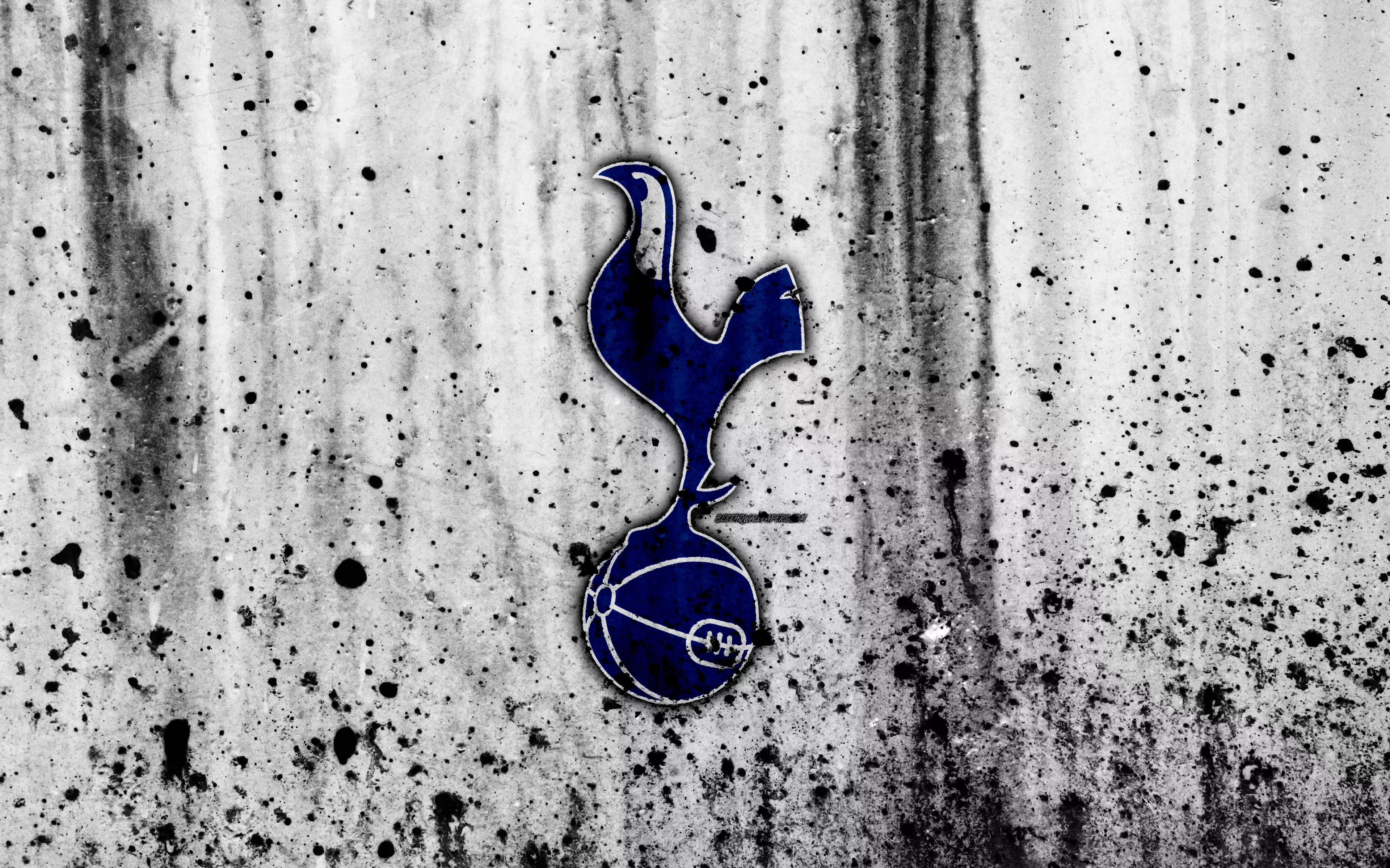 Soccer Tottenham Hotspur F.C. Sports