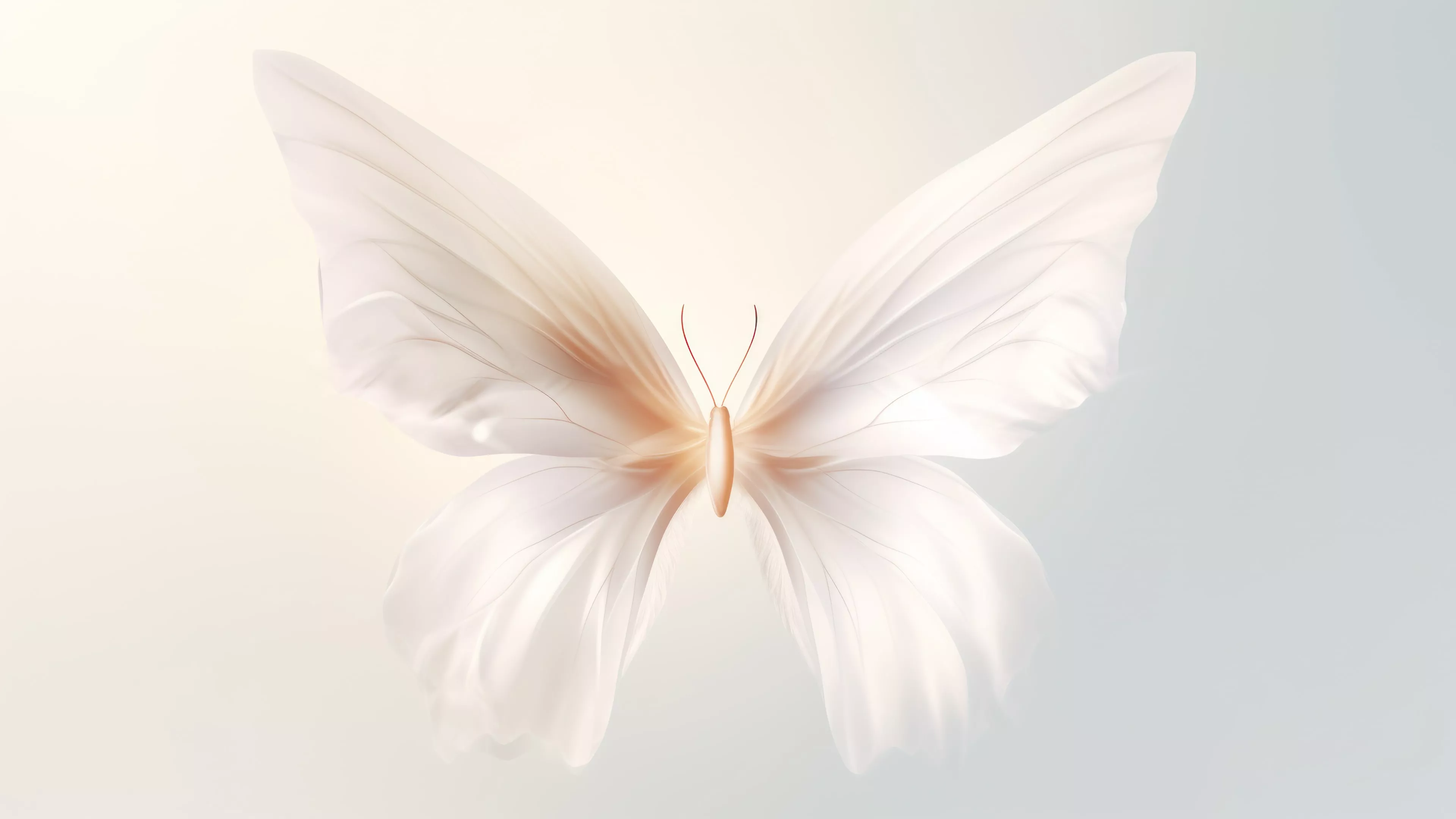 Ethereal White Butterfly 4K Wallpaper