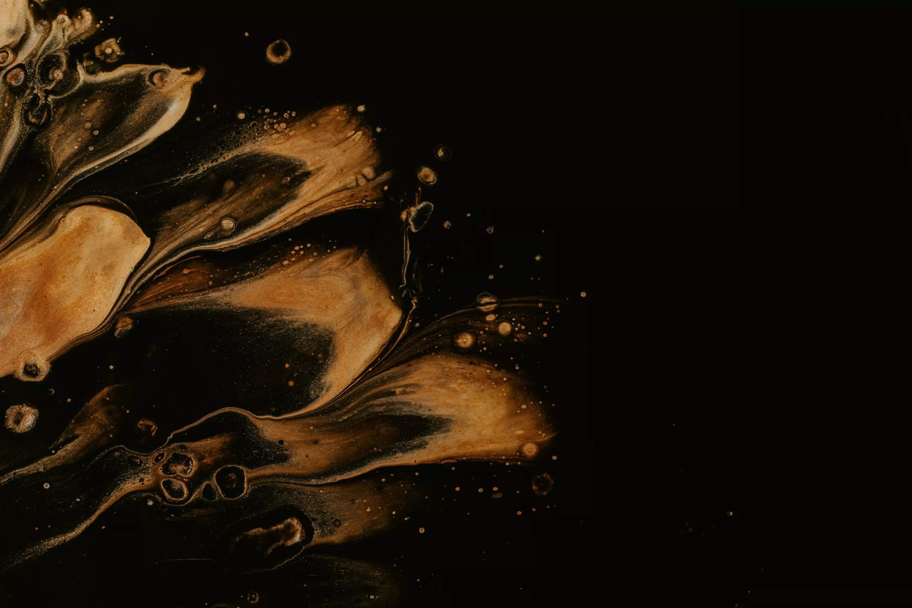 Water drops on black surface photo