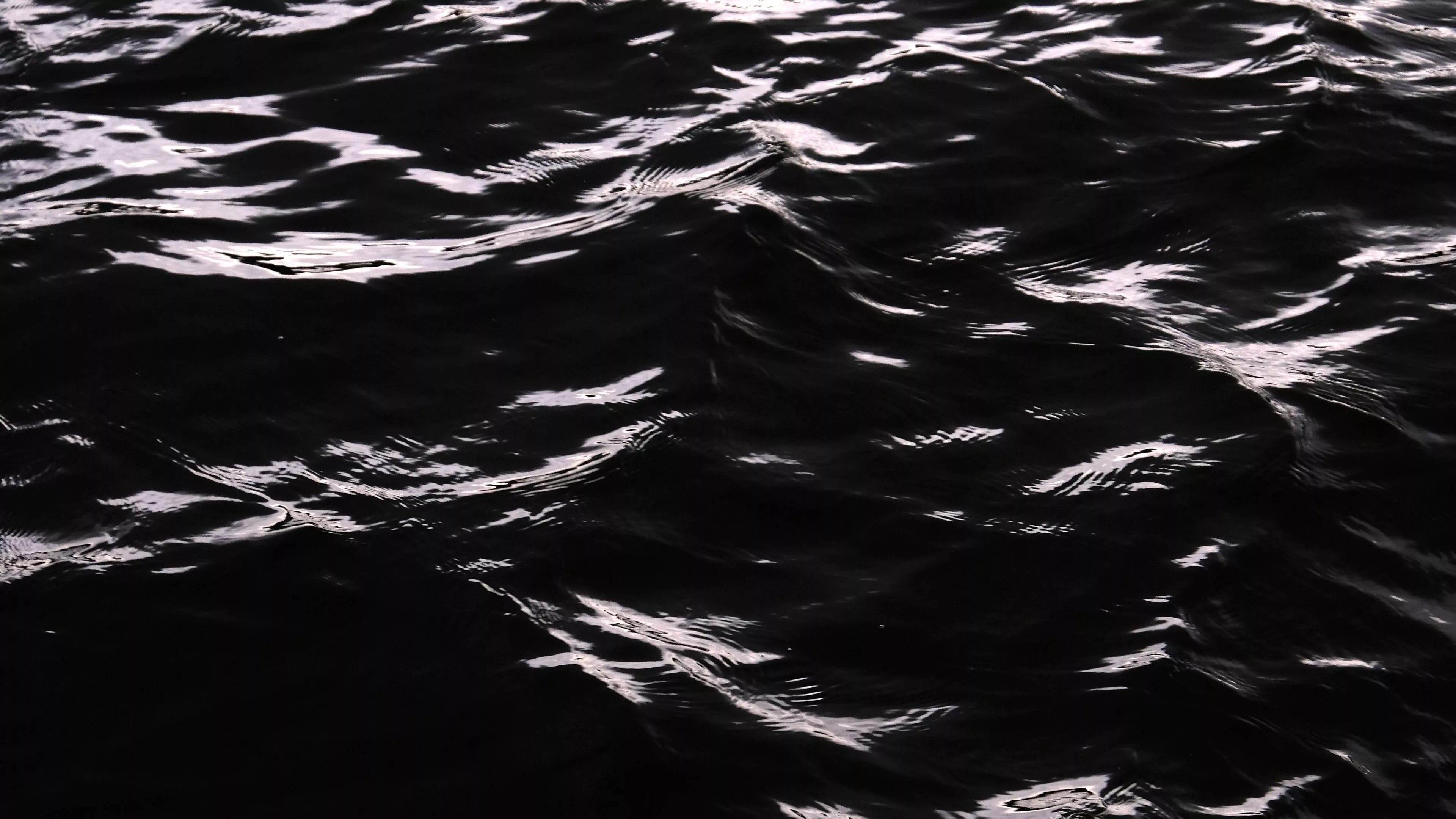 Ocean Water Waves Black White 4K HD