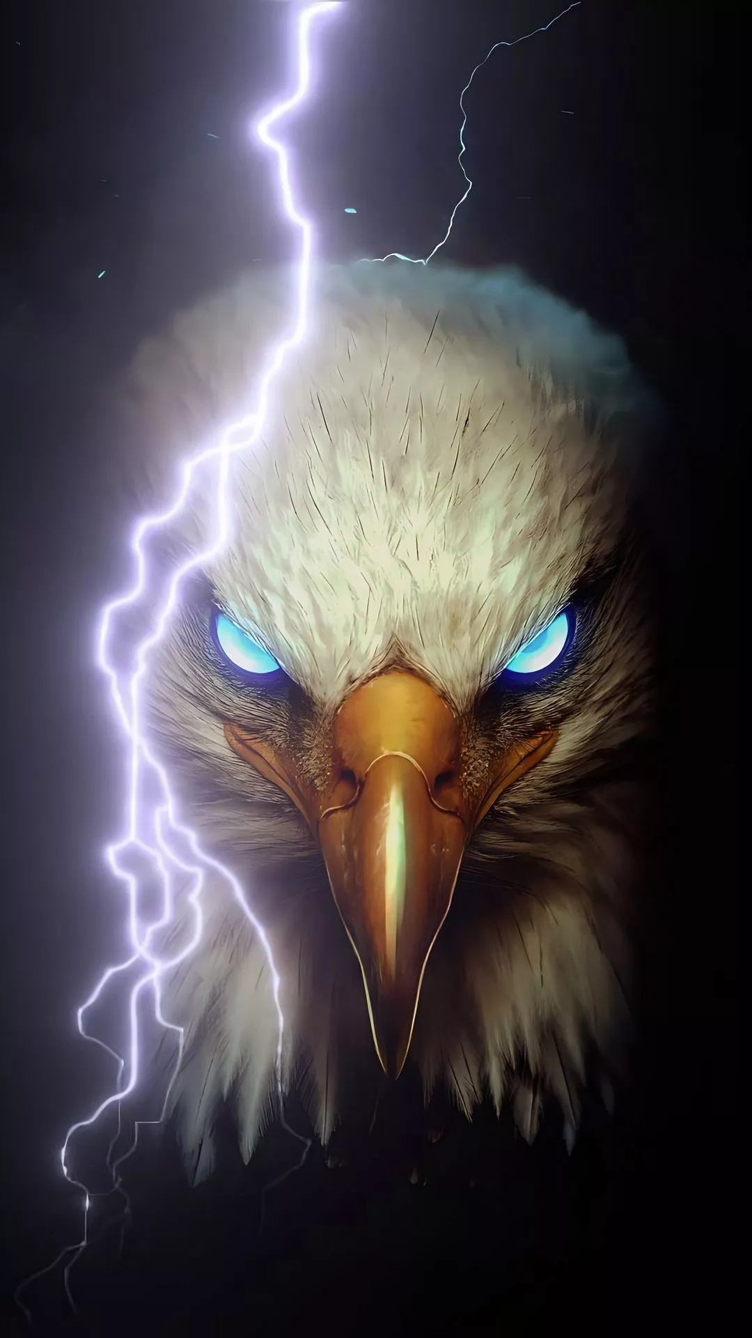 Wallpaper eagle, bird, head, luminous