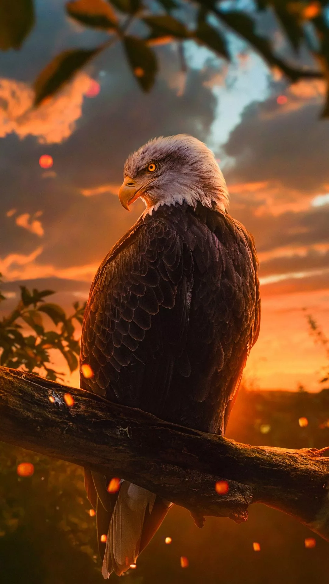 Eagle Wallpaper for Android