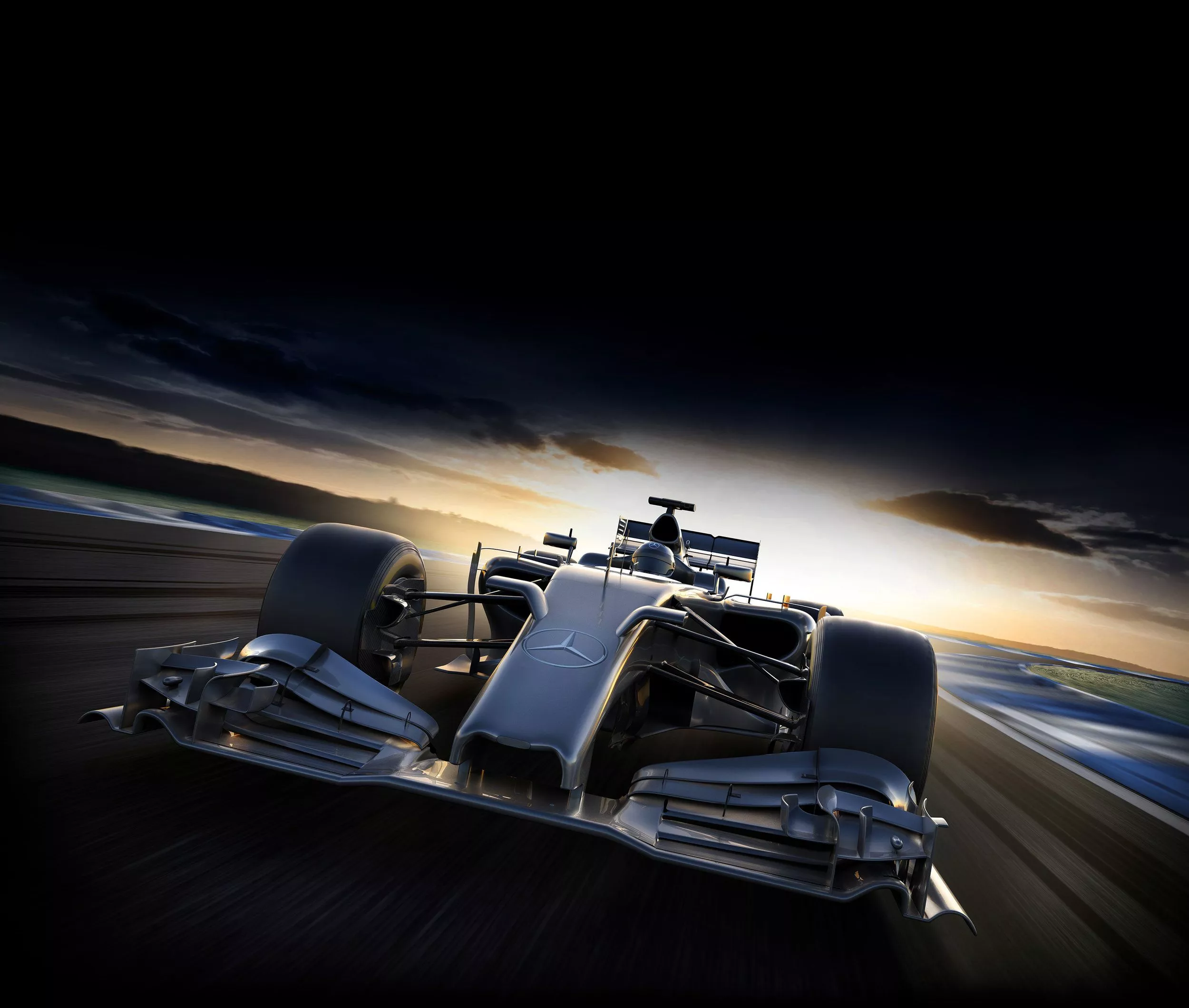 Mercedes F1 Champions Canvas