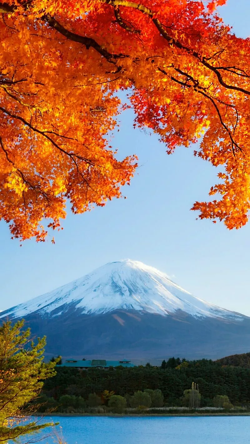 water, HD phone wallpaper