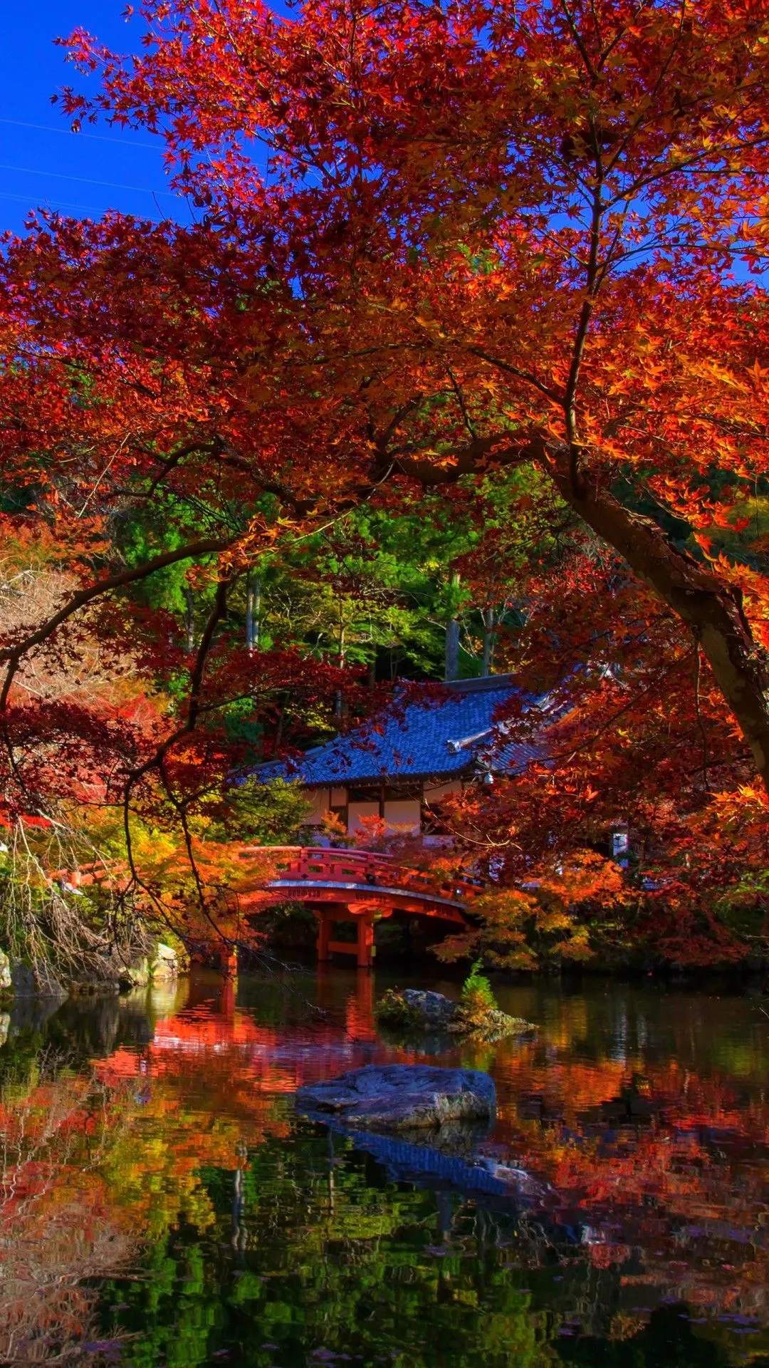 Japanese Garden Autumn Trees Reflection On Pond Under Blue Sky 4K 5K HD Travel Wallpaper